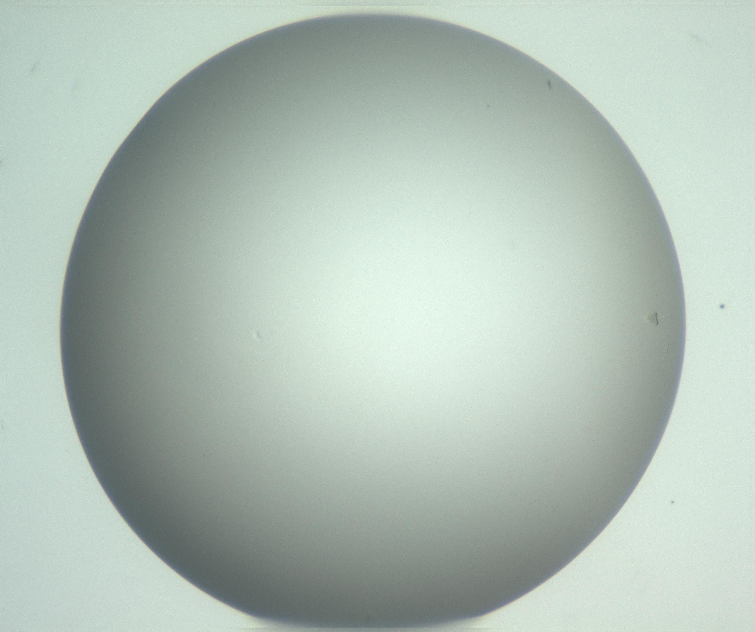 RI01_03_000_0212_Proj1_Clon1_MC_0000MC102975_006_161126_07_08_01_00_99_002_001_RAI.jpg