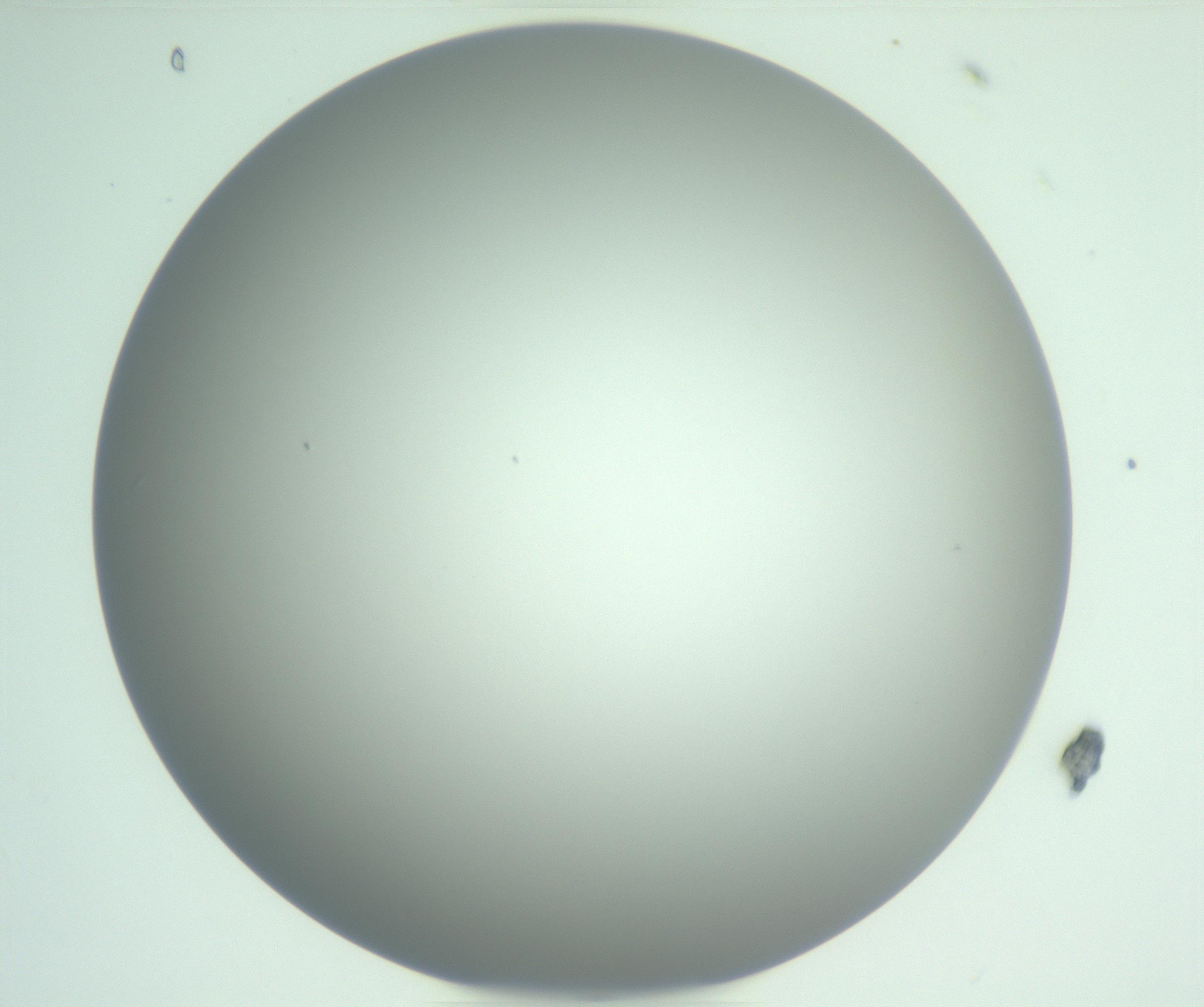 RI01_03_000_0212_Proj1_Clon1_MC_0000MC102975_006_161126_08_03_01_00_99_002_001_RAI.jpg