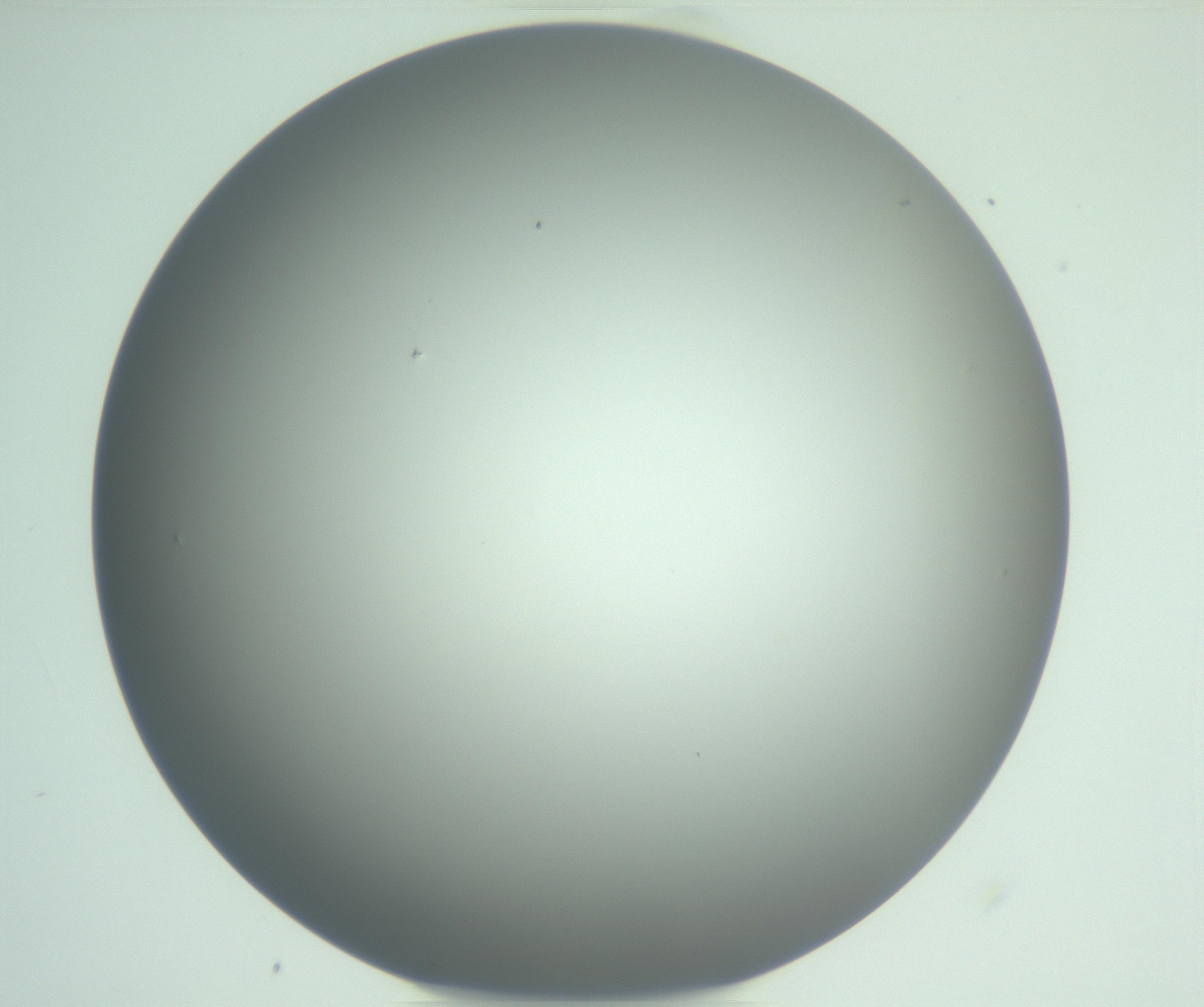 RI01_03_000_0212_Proj1_Clon1_MC_0000MC102975_006_161126_08_04_01_00_99_002_001_RAI.jpg