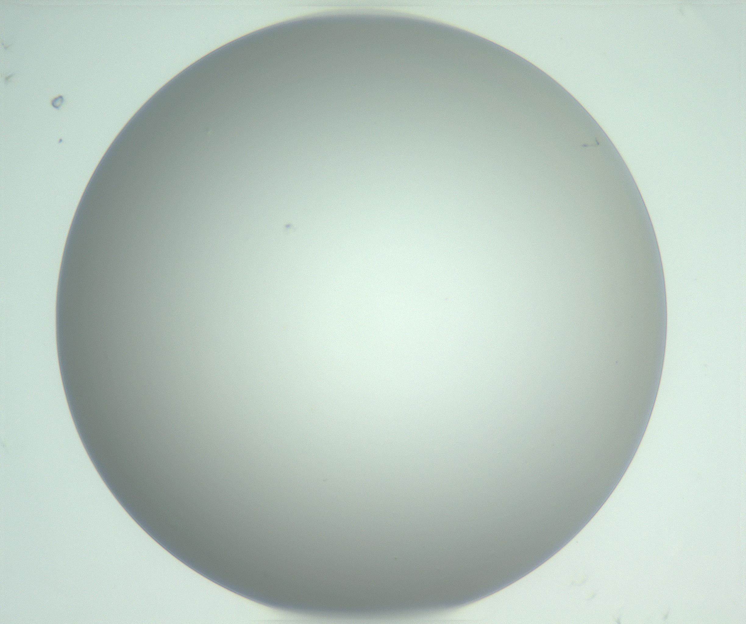 RI01_03_000_0212_Proj1_Clon1_MC_0000MC102975_006_161126_08_05_01_00_99_002_001_RAI.jpg