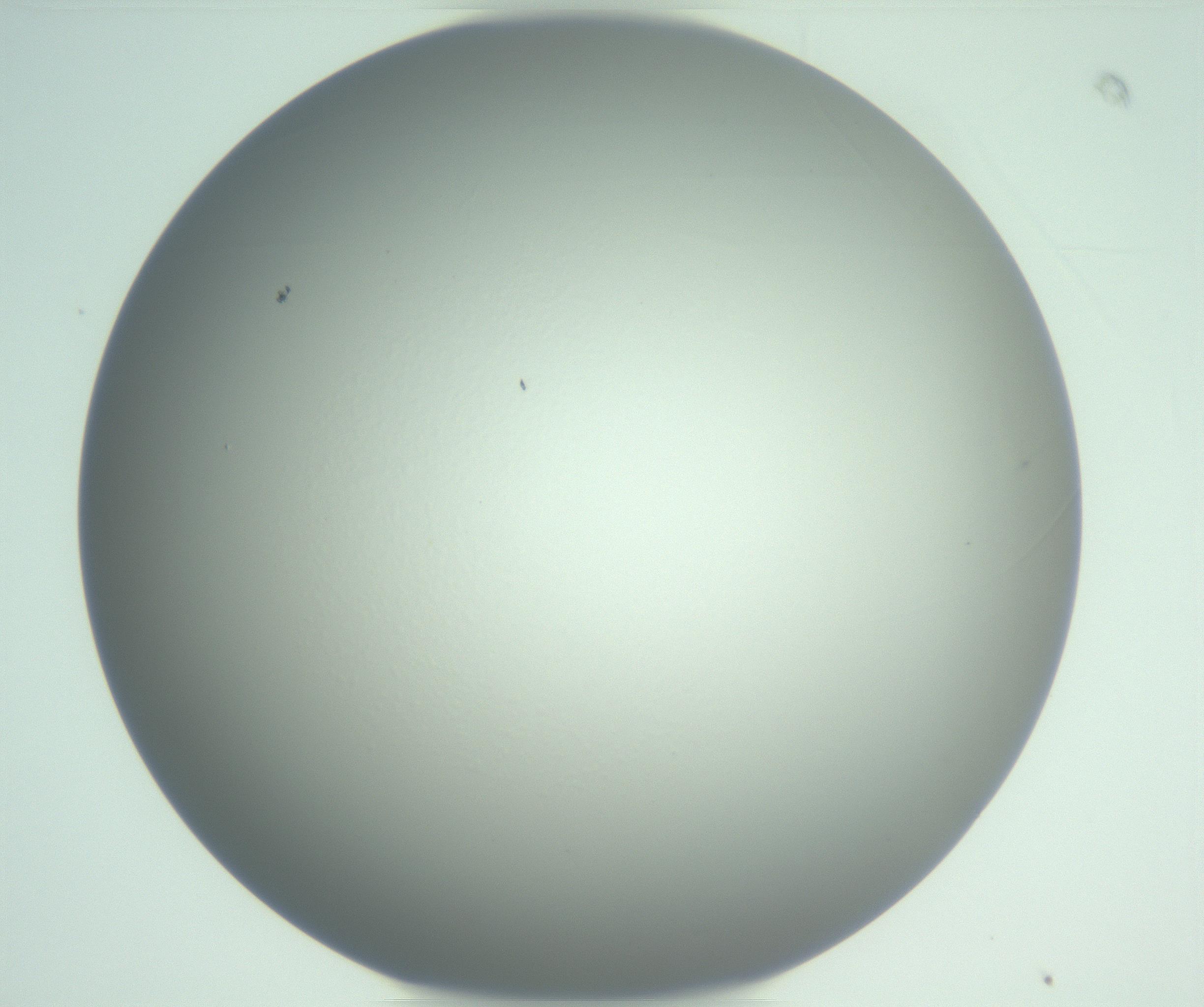 RI01_03_000_0212_Proj1_Clon1_MC_0000MC102975_006_161126_08_06_01_00_99_002_001_RAI.jpg