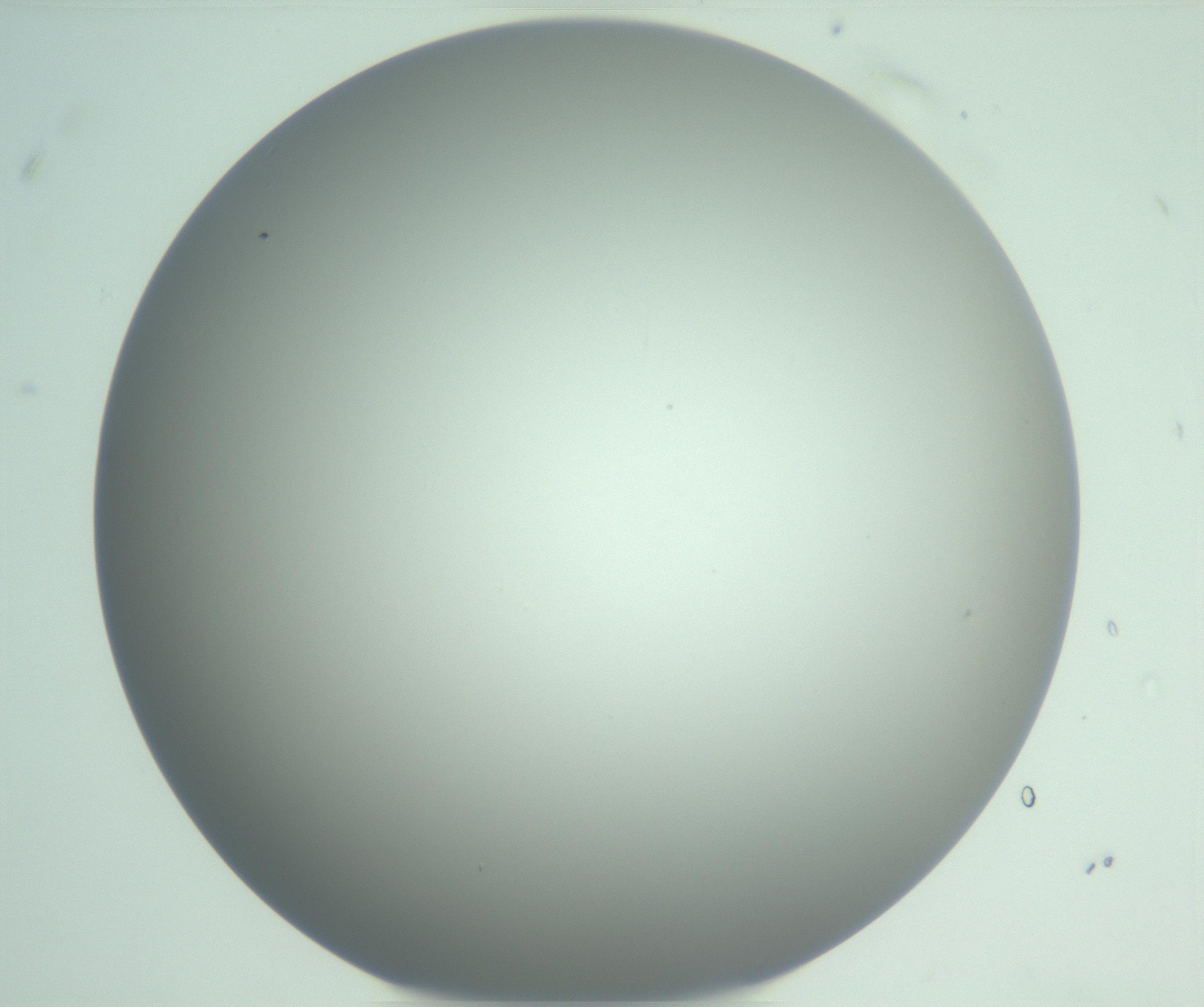 RI01_03_000_0212_Proj1_Clon1_MC_0000MC102975_006_161126_08_07_01_00_99_002_001_RAI.jpg