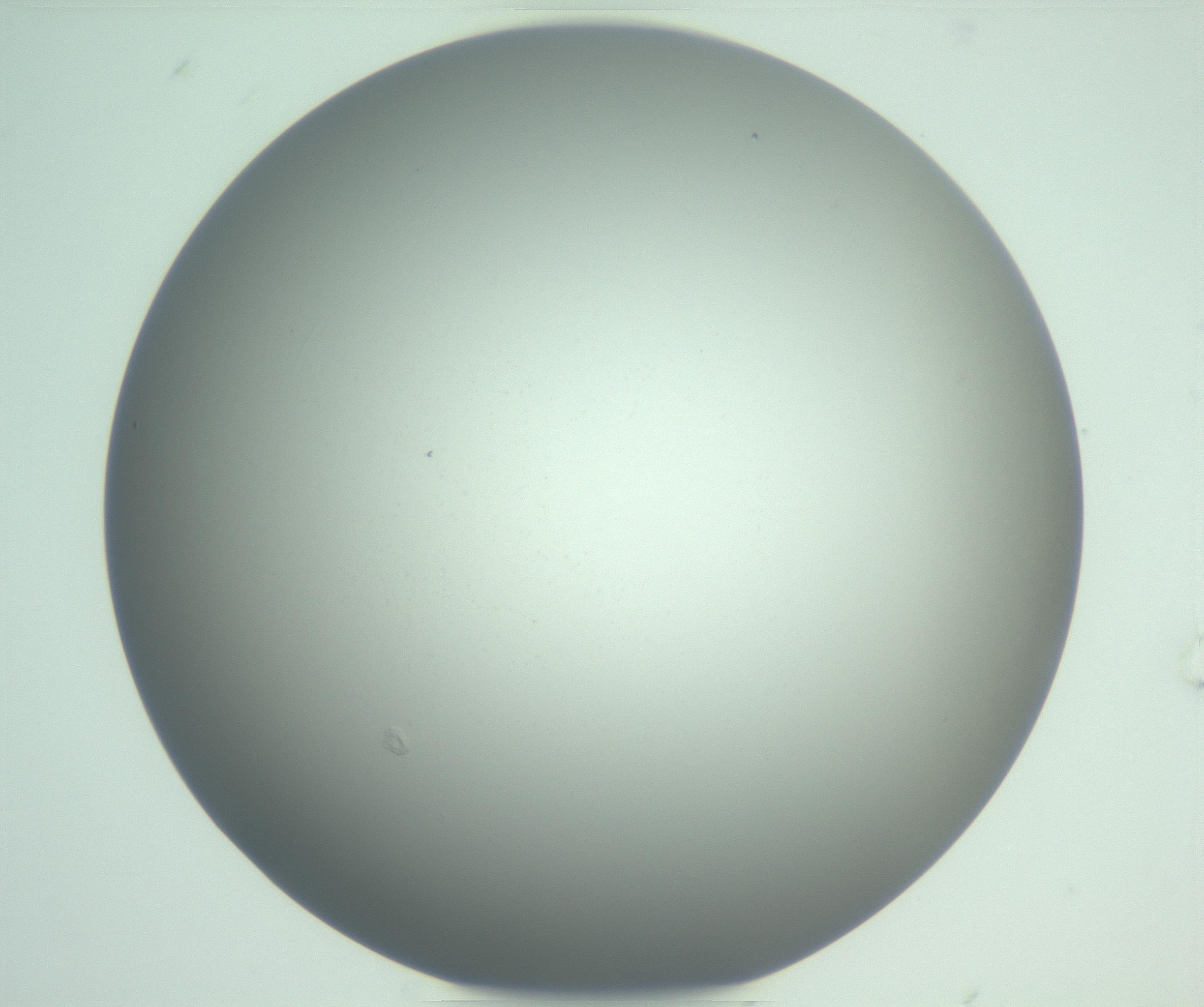 RI01_03_000_0212_Proj1_Clon1_MC_0000MC102975_006_161126_08_08_01_00_99_002_001_RAI.jpg