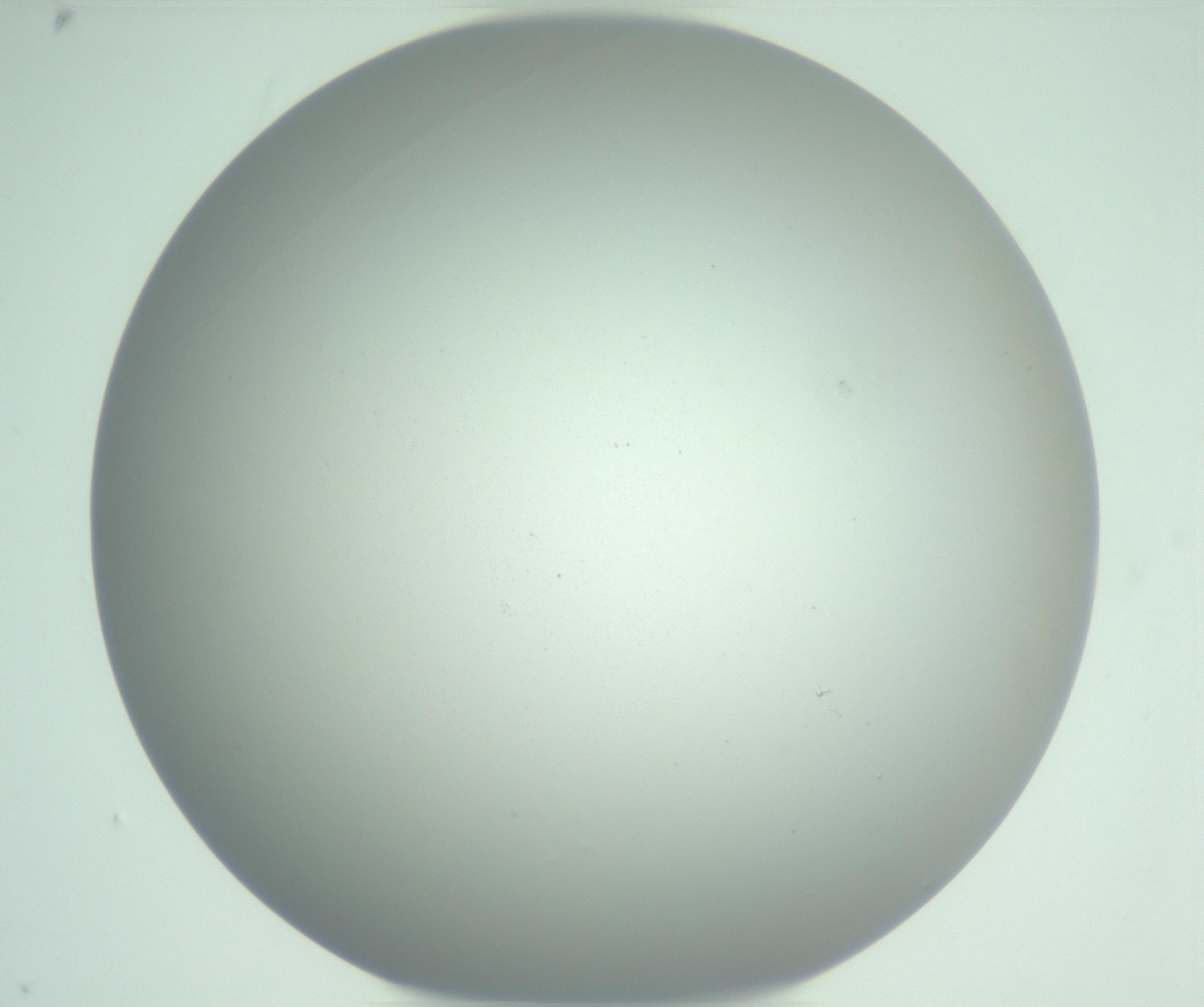 RI01_03_000_0212_Proj1_Clon1_MC_0000MC102975_006_161126_09_05_01_00_99_002_001_RAI.jpg