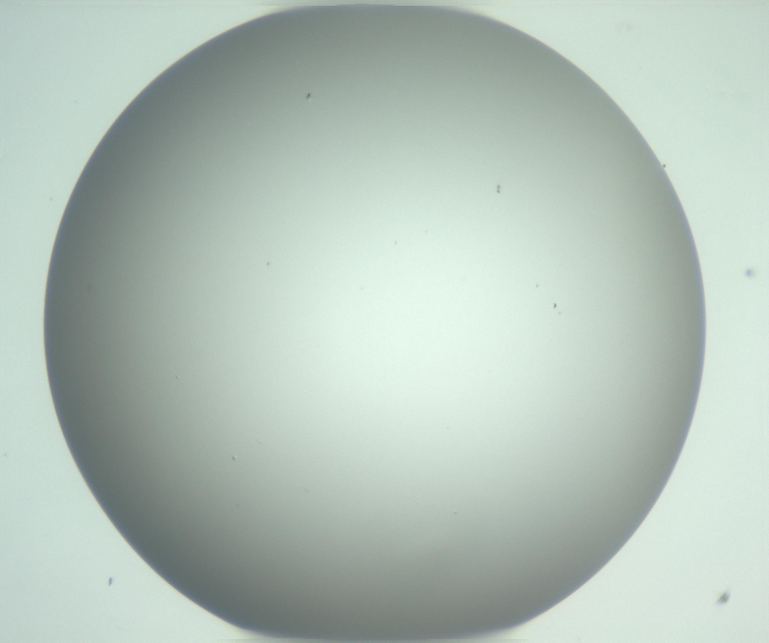 RI01_03_000_0212_Proj1_Clon1_MC_0000MC102975_006_161126_09_06_01_00_99_002_001_RAI.jpg
