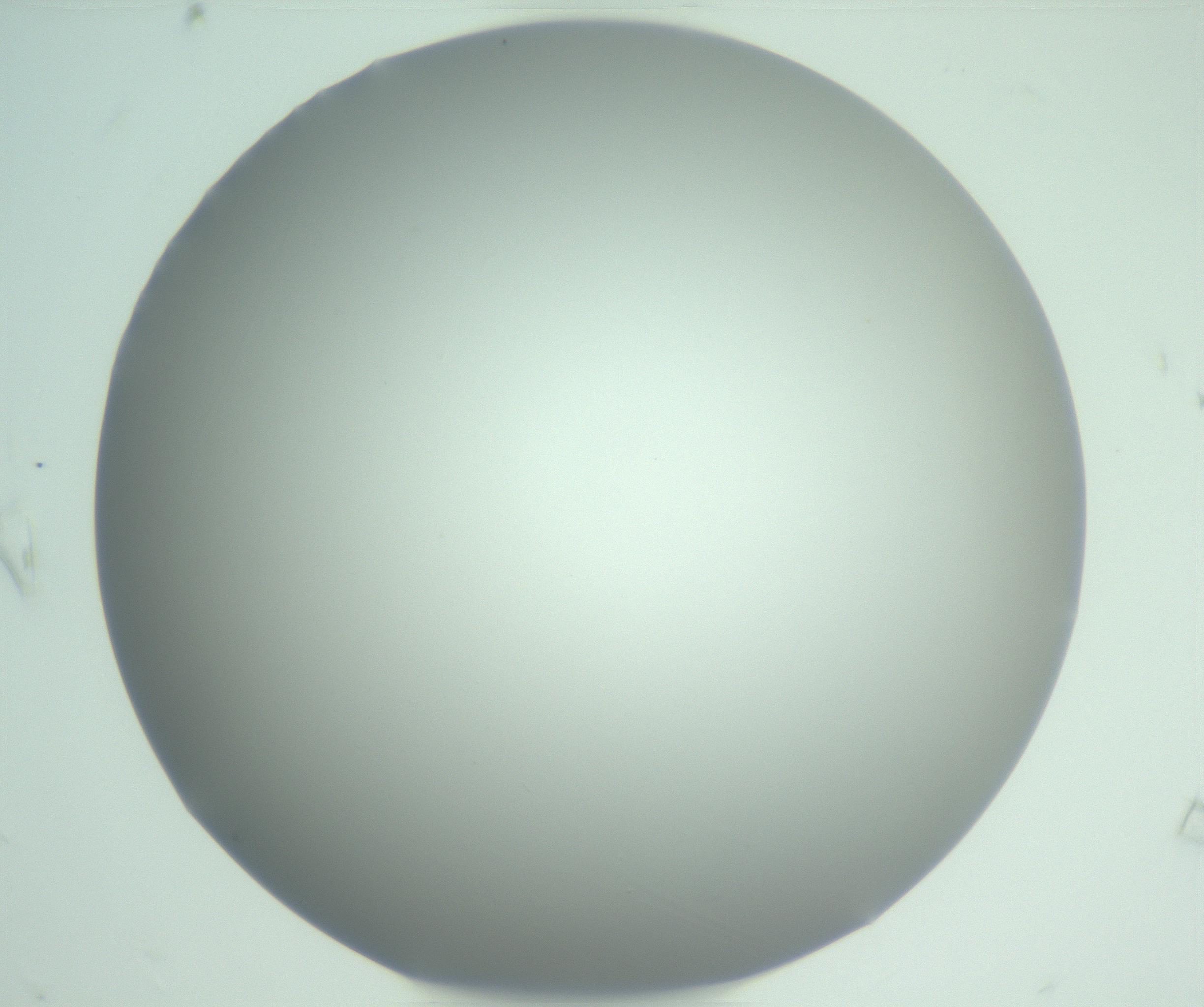RI01_03_000_0212_Proj1_Clon1_MC_0000MC102975_006_161126_09_07_01_00_99_002_001_RAI.jpg