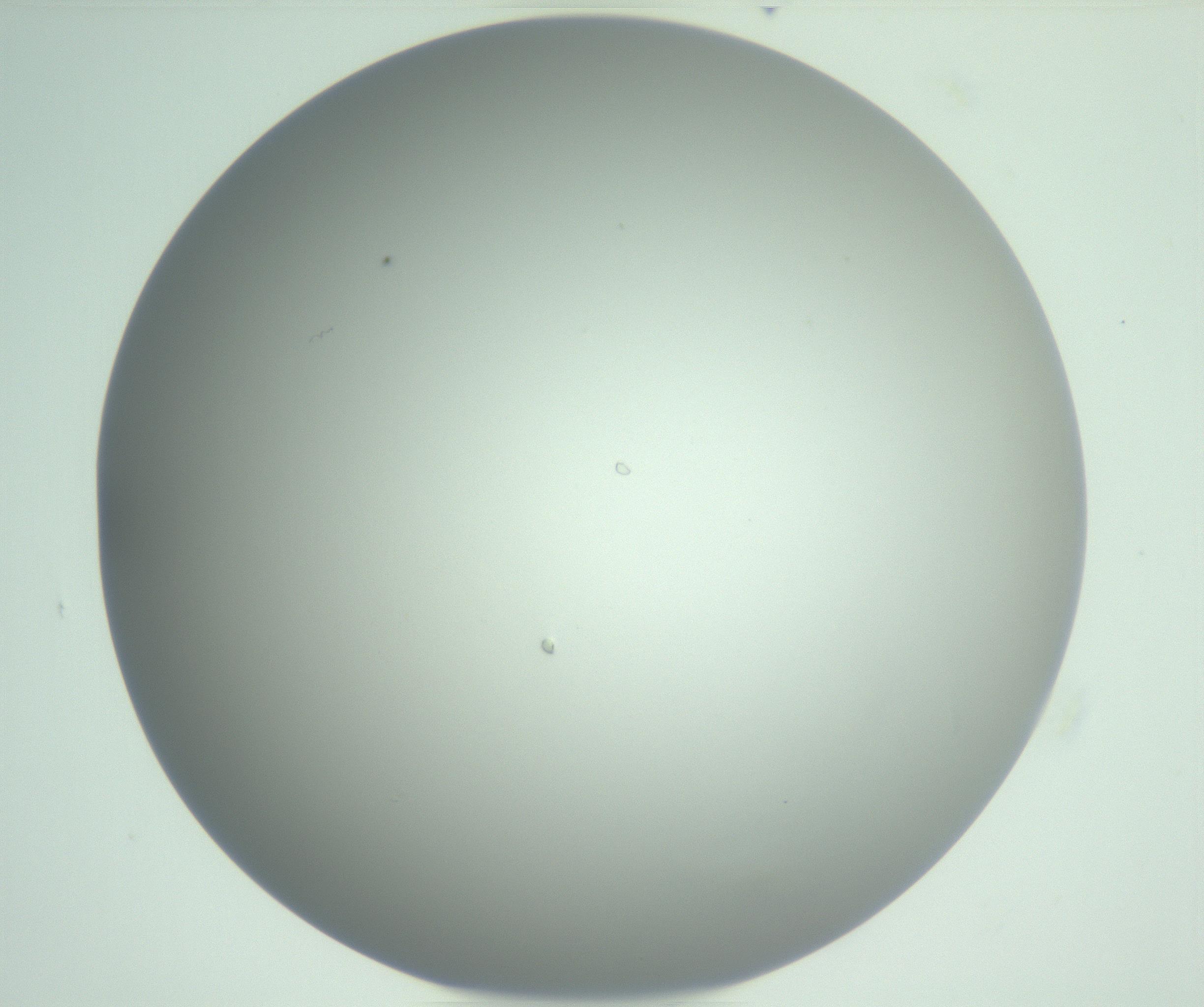 RI01_03_000_0212_Proj1_Clon1_MC_0000MC102975_006_161126_10_03_01_00_99_002_001_RAI.jpg