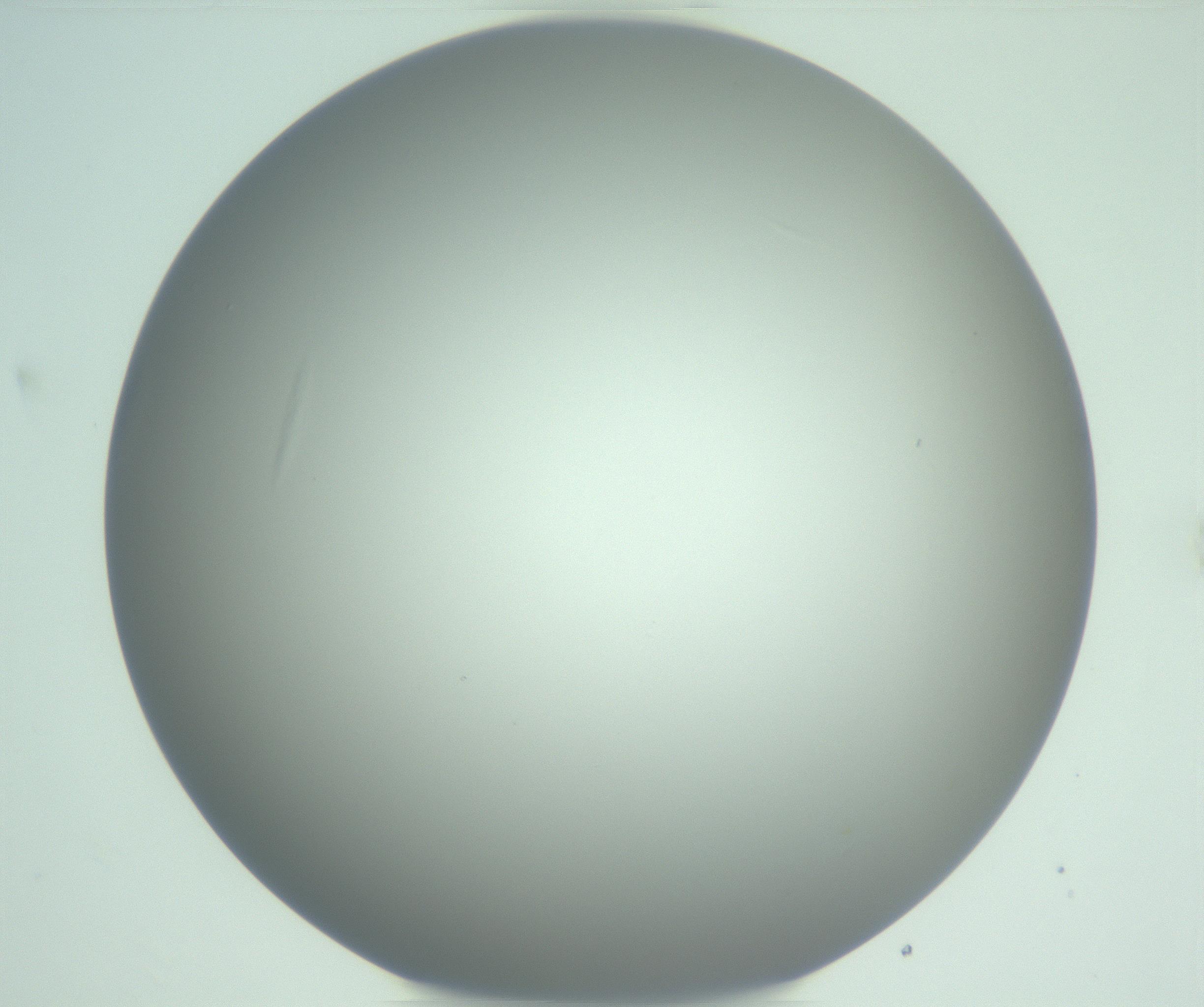 RI01_03_000_0212_Proj1_Clon1_MC_0000MC102975_006_161126_10_07_01_00_99_002_001_RAI.jpg