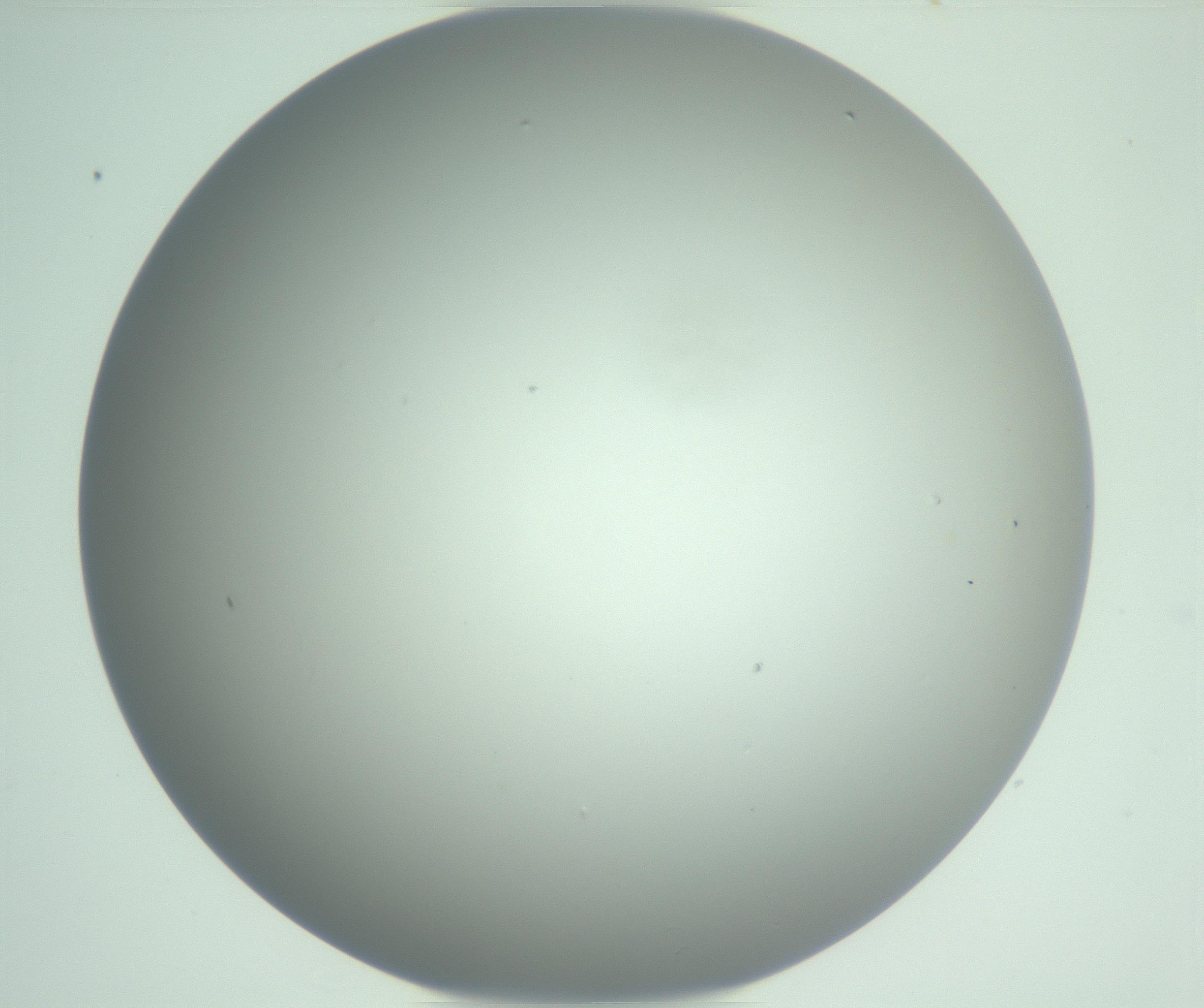 RI01_03_000_0212_Proj1_Clon1_MC_0000MC102975_006_161126_11_02_01_00_99_002_001_RAI.jpg