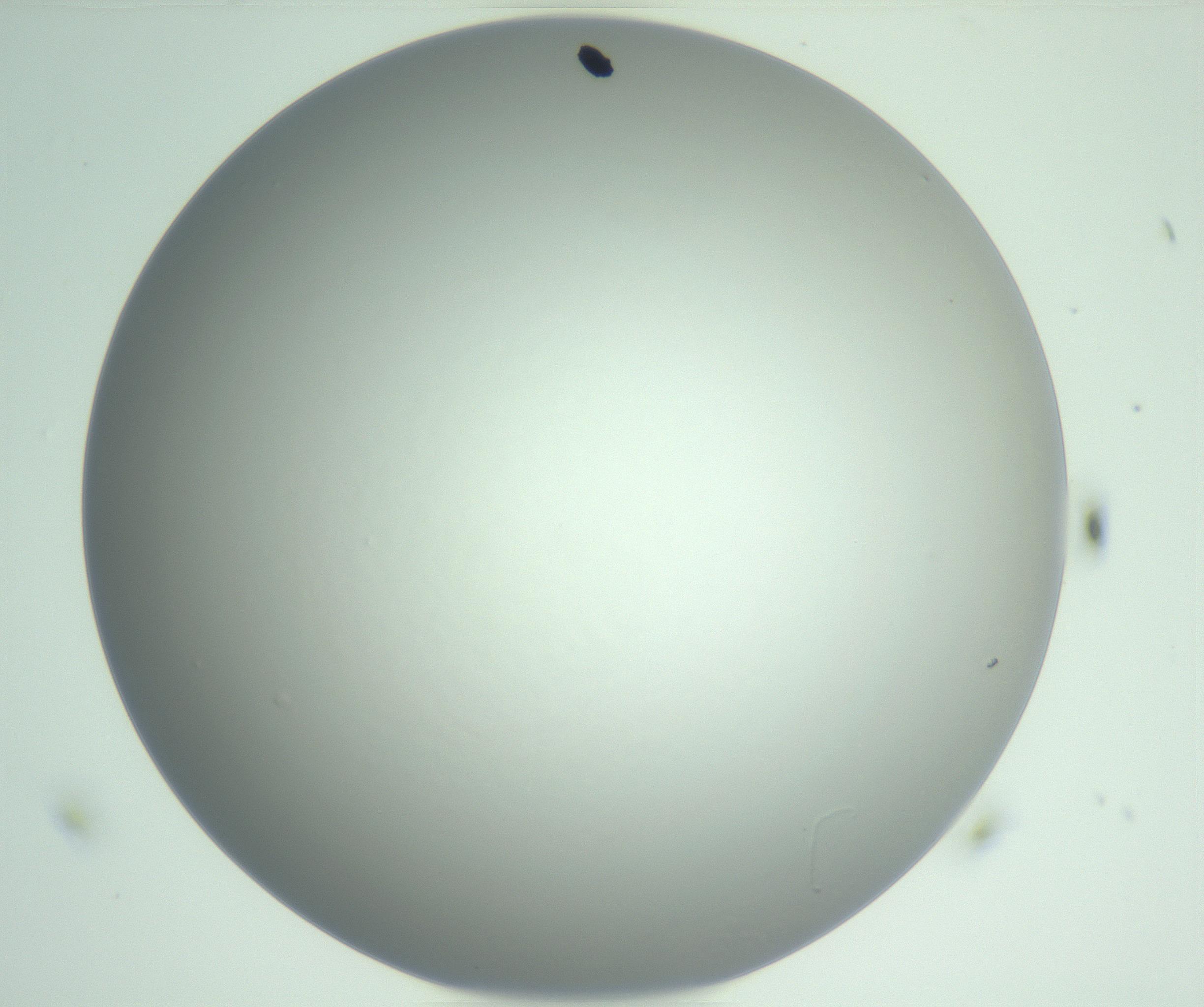 RI01_03_000_0212_Proj1_Clon1_MC_0000MC102975_006_161126_11_03_01_00_99_002_001_RAI.jpg