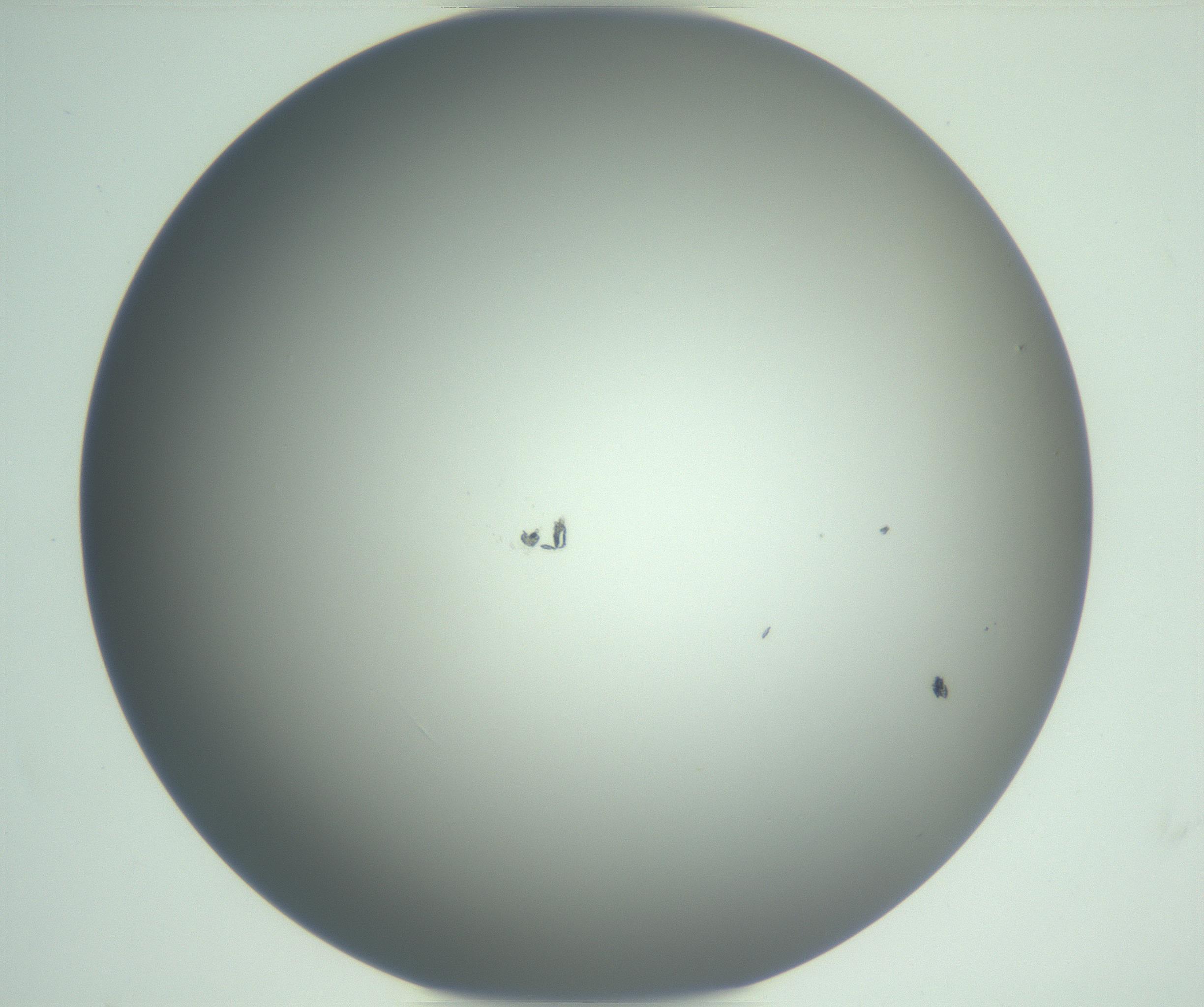 RI01_03_000_0212_Proj1_Clon1_MC_0000MC102975_006_161126_11_04_01_00_99_002_001_RAI.jpg