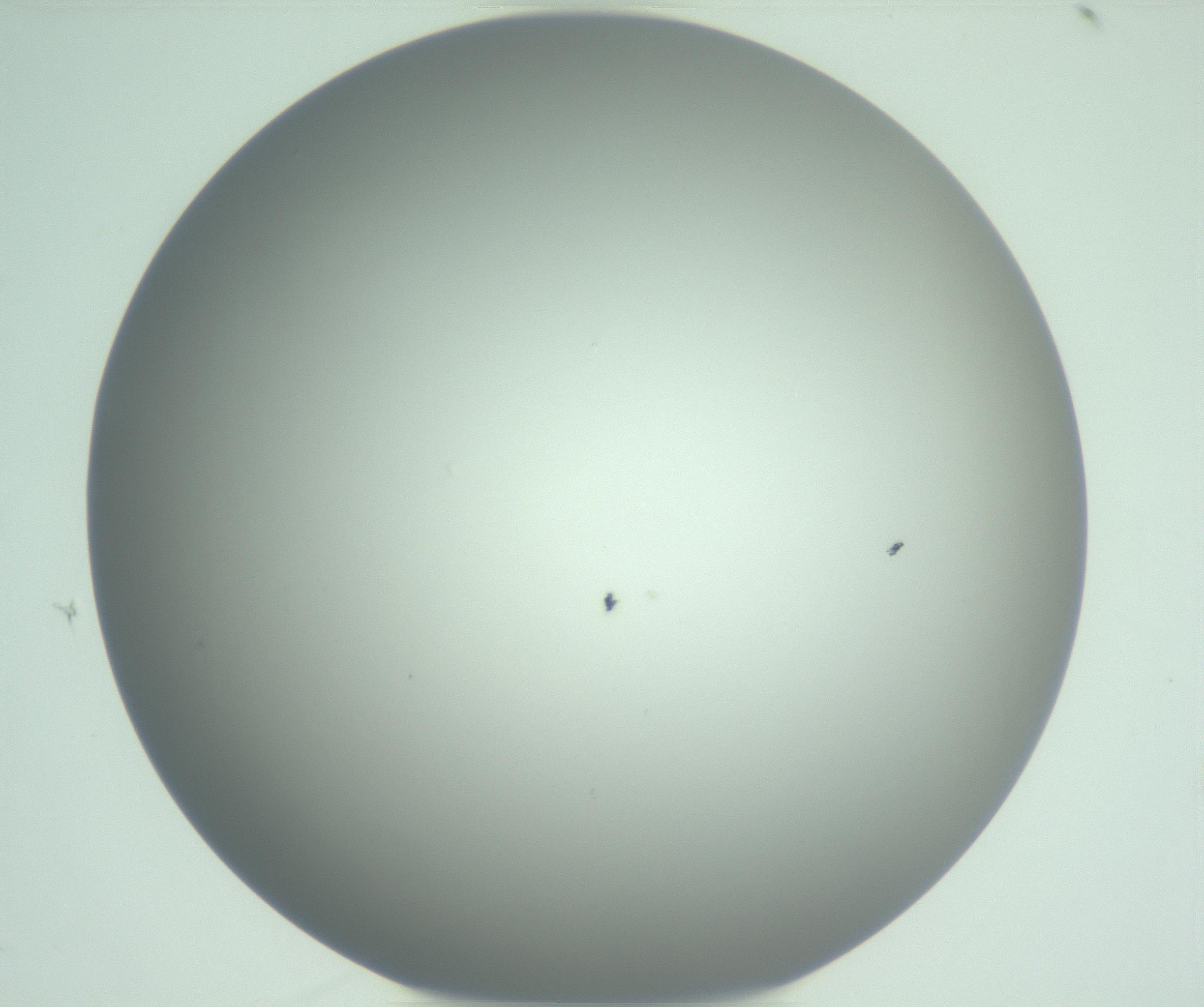 RI01_03_000_0212_Proj1_Clon1_MC_0000MC102975_006_161126_11_06_01_00_99_002_001_RAI.jpg