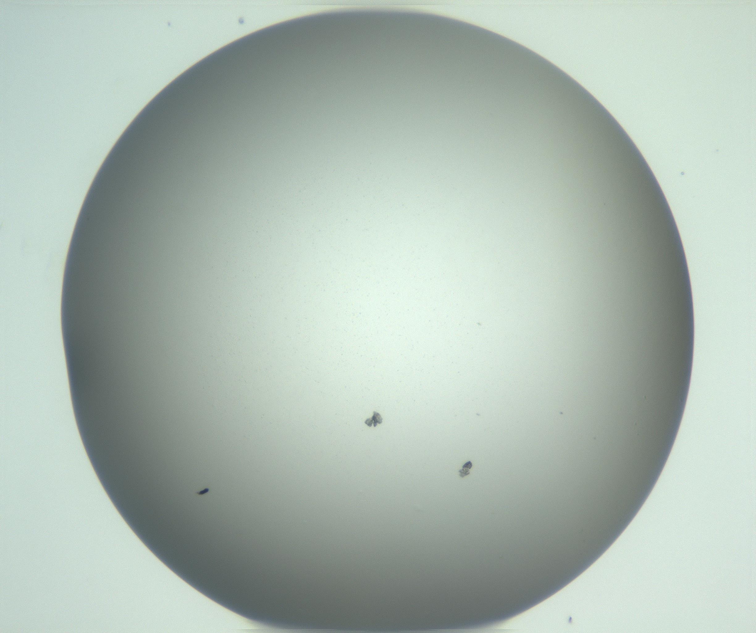 RI01_03_000_0212_Proj1_Clon1_MC_0000MC102975_006_161126_11_08_01_00_99_002_001_RAI.jpg