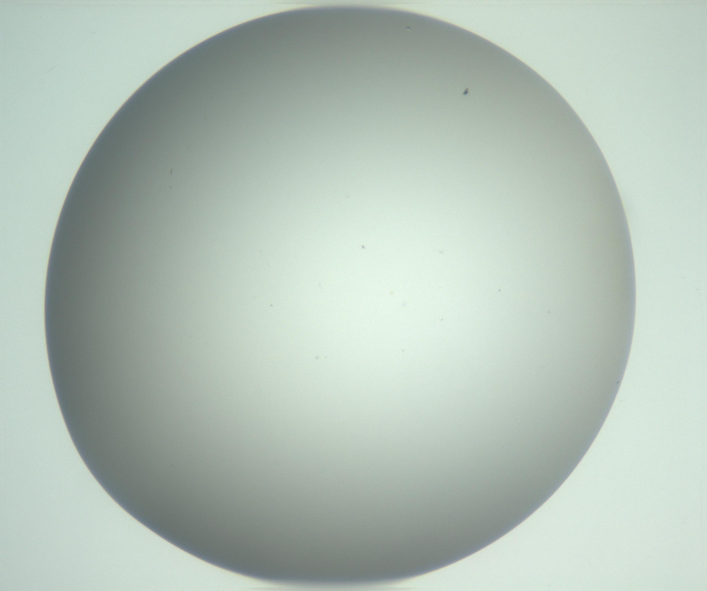 RI01_03_000_0212_Proj1_Clon1_MC_0000MC102975_006_161126_12_01_01_00_99_002_001_RAI.jpg