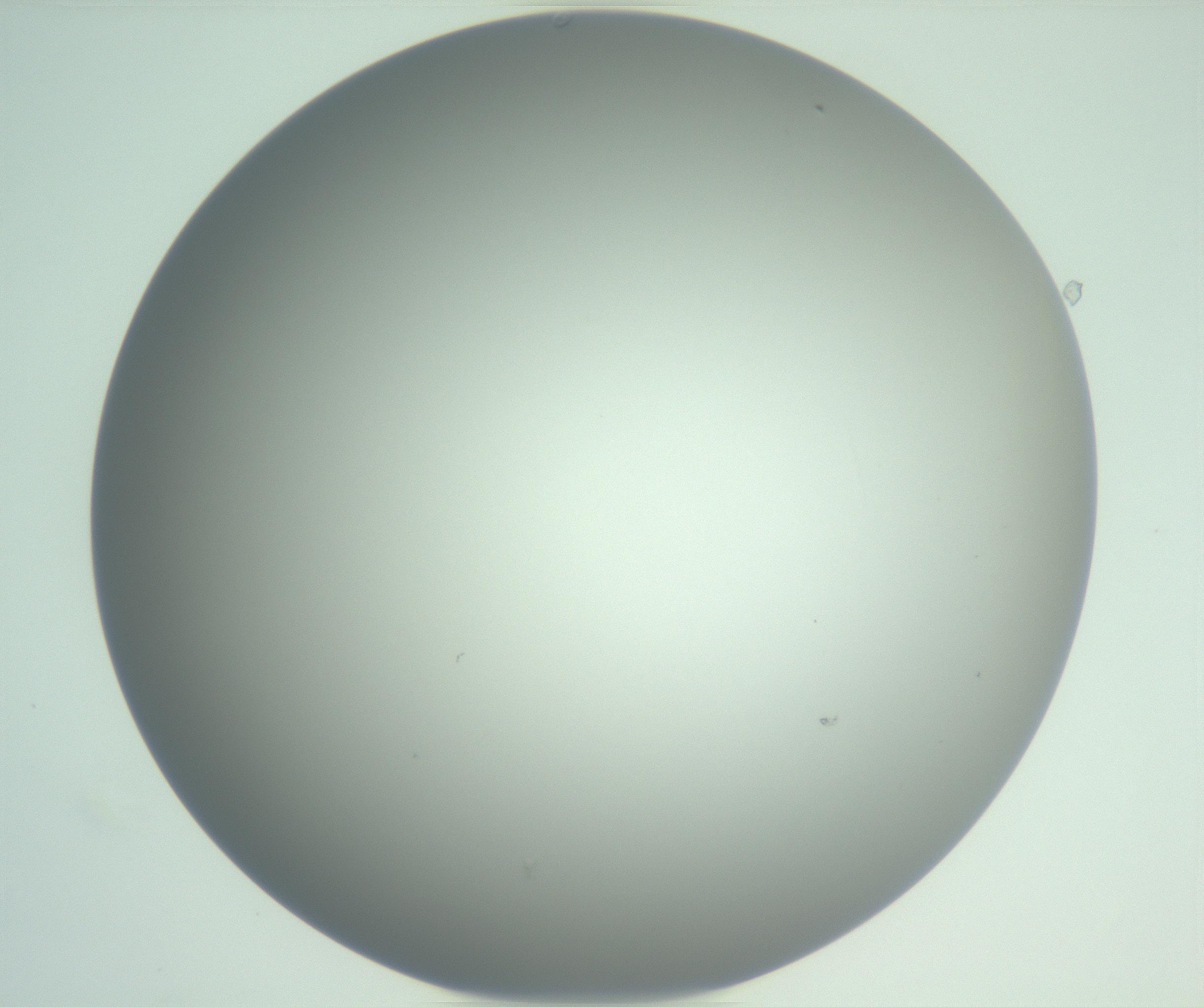 RI01_03_000_0212_Proj1_Clon1_MC_0000MC102975_006_161126_12_02_01_00_99_002_001_RAI.jpg