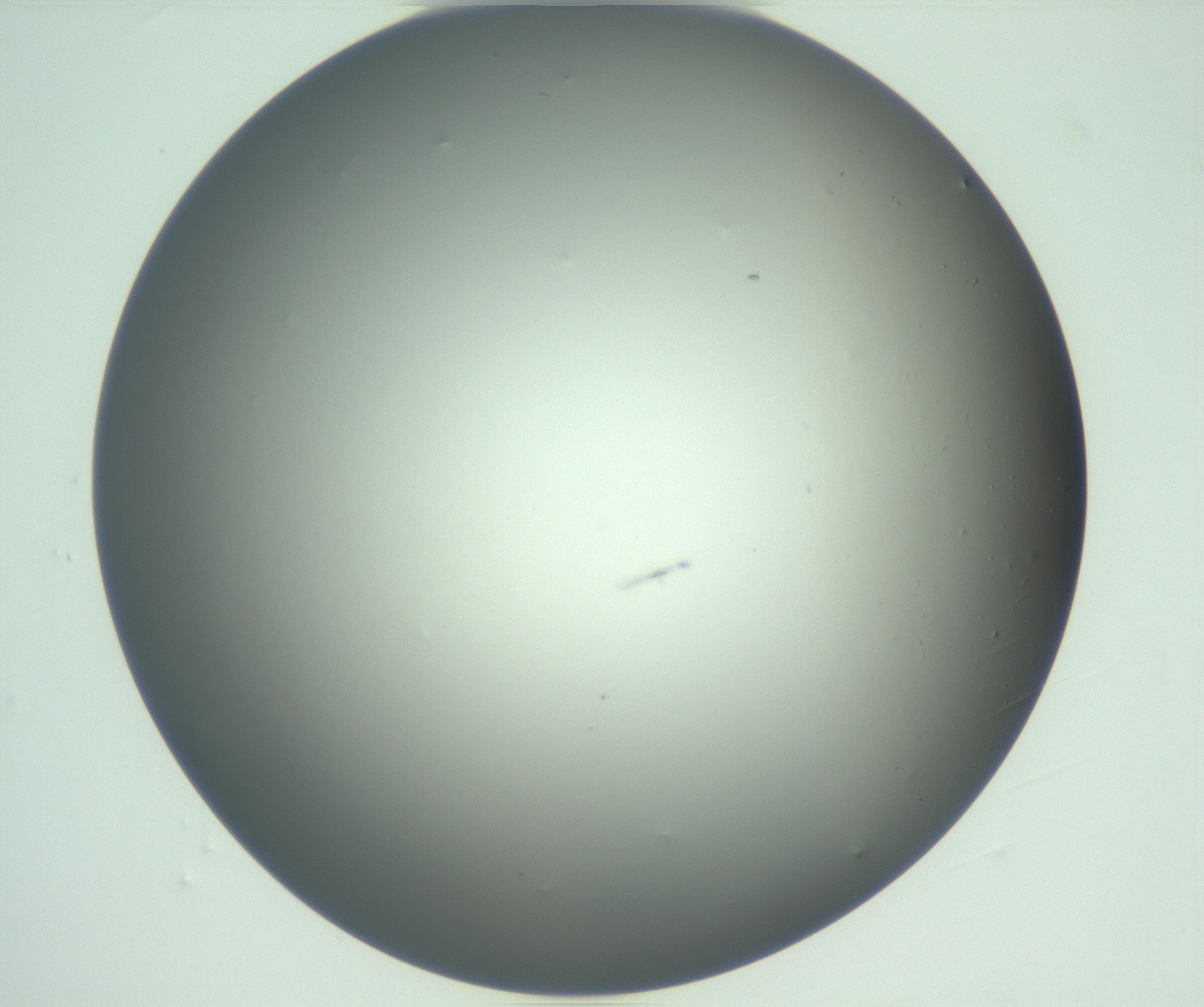 RI01_03_000_0212_Proj1_Clon1_MC_0000MC102975_006_161126_12_05_01_00_99_002_001_RAI.jpg