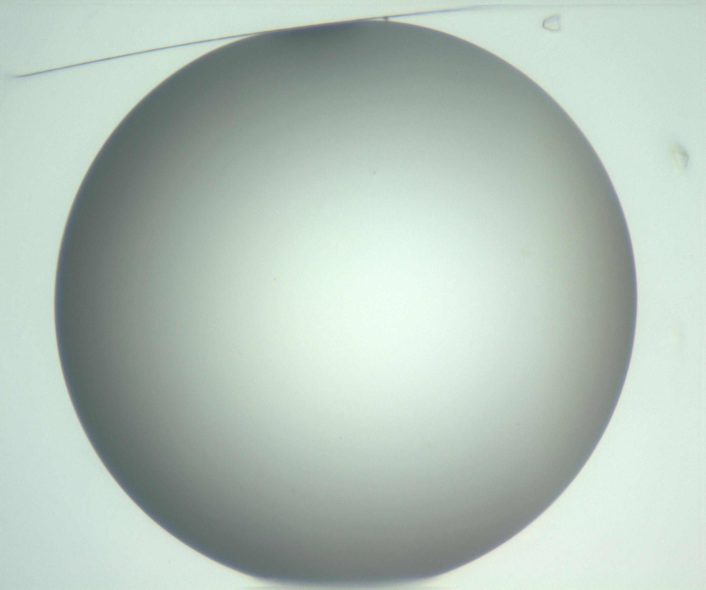 RI01_03_000_0212_Proj1_Clon1_MC_0000MC102976_007_161129_01_01_01_00_99_002_001_RAI.jpg