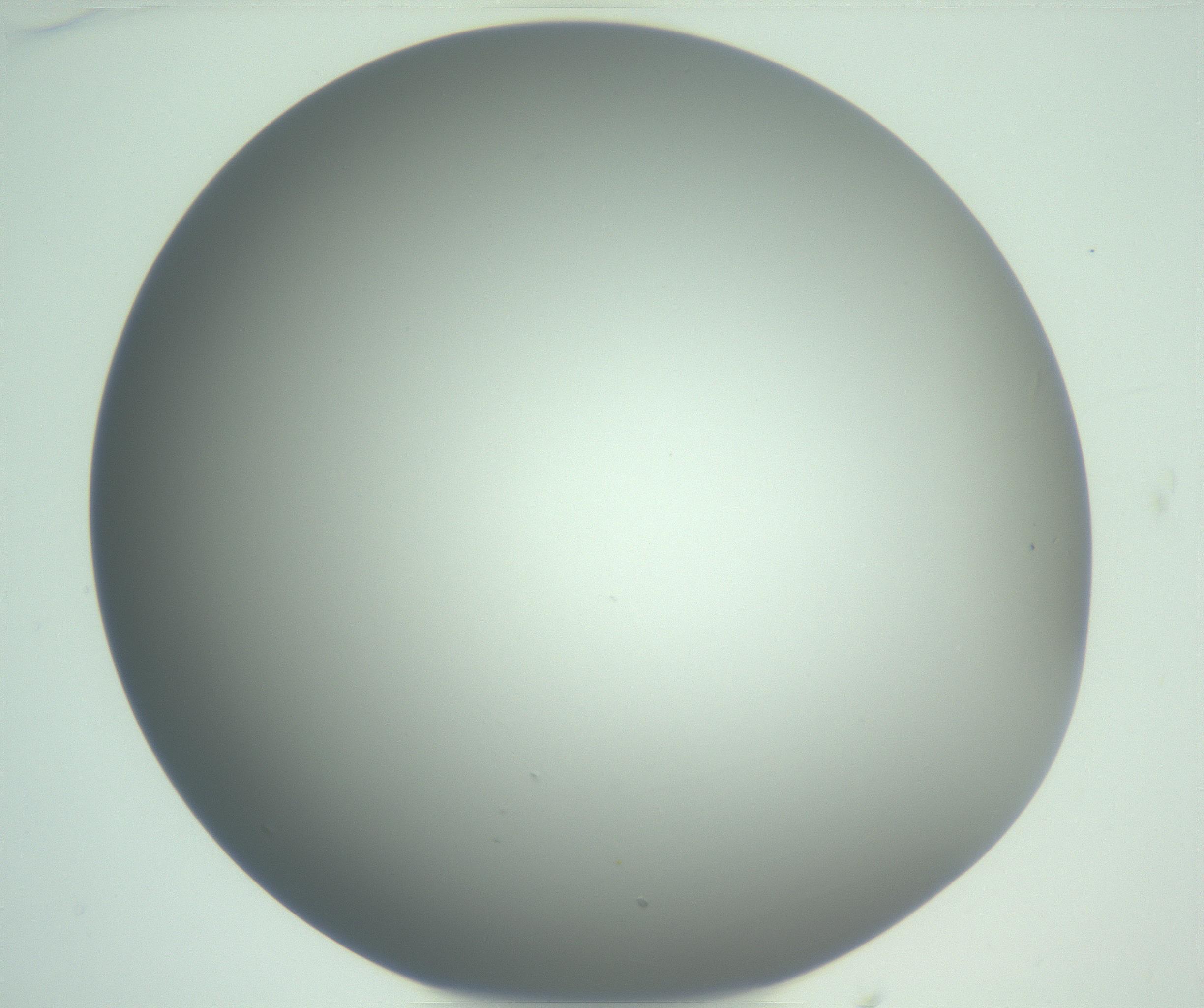 RI01_03_000_0212_Proj1_Clon1_MC_0000MC102976_007_161129_01_02_01_00_99_002_001_RAI.jpg