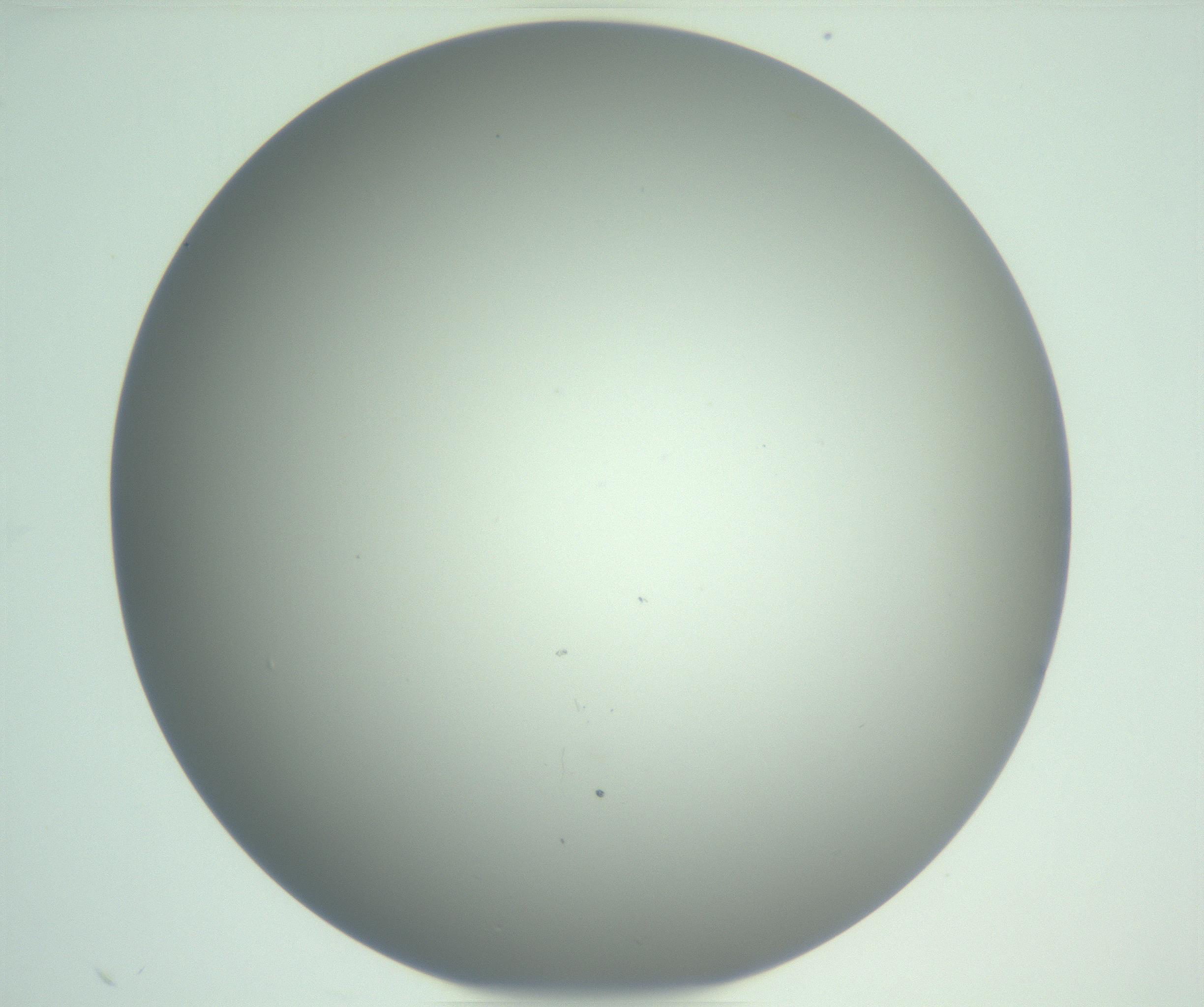 RI01_03_000_0212_Proj1_Clon1_MC_0000MC102976_007_161129_01_03_01_00_99_002_001_RAI.jpg