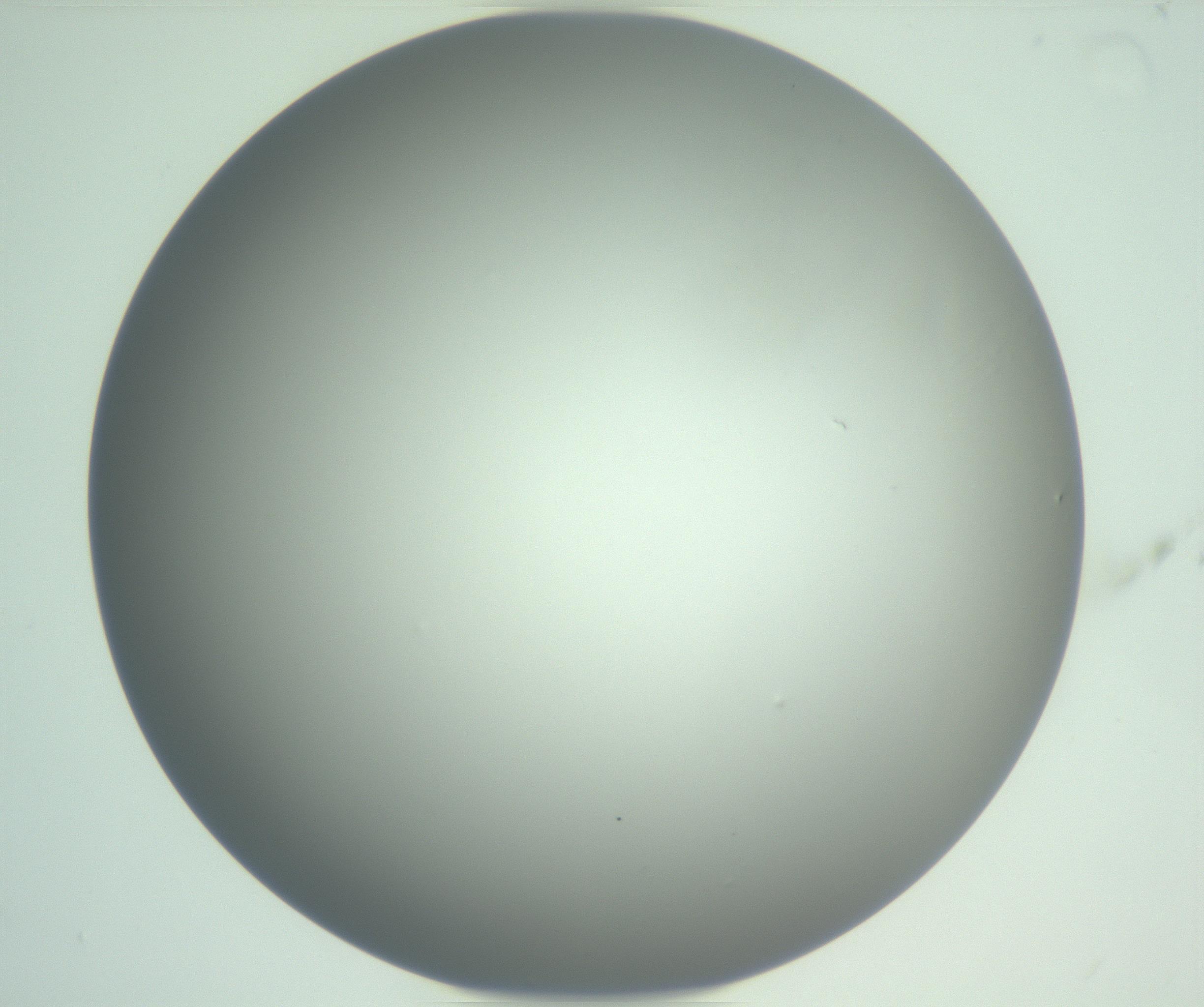 RI01_03_000_0212_Proj1_Clon1_MC_0000MC102976_007_161129_01_04_01_00_99_002_001_RAI.jpg