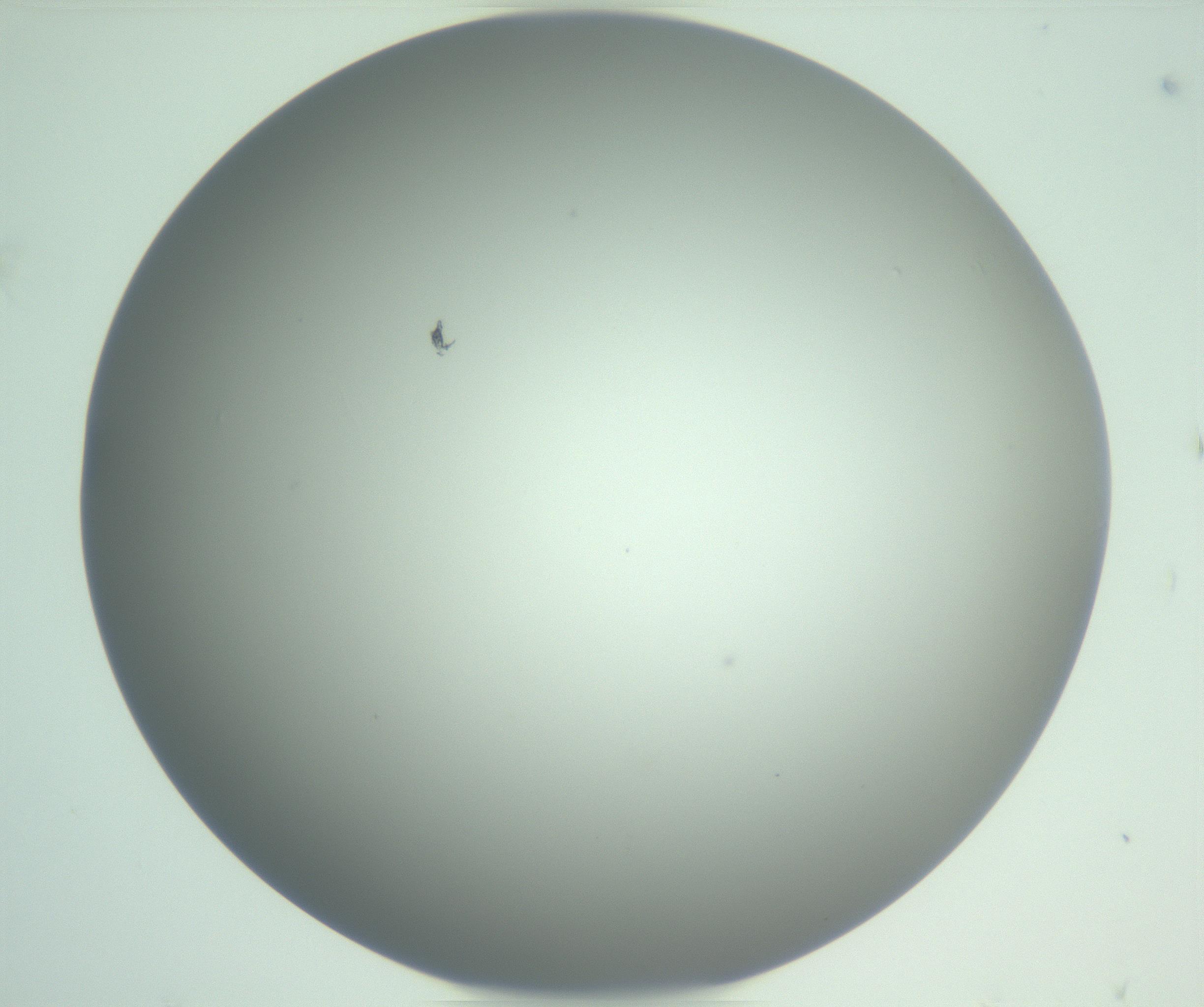 RI01_03_000_0212_Proj1_Clon1_MC_0000MC102976_007_161129_01_05_01_00_99_002_001_RAI.jpg