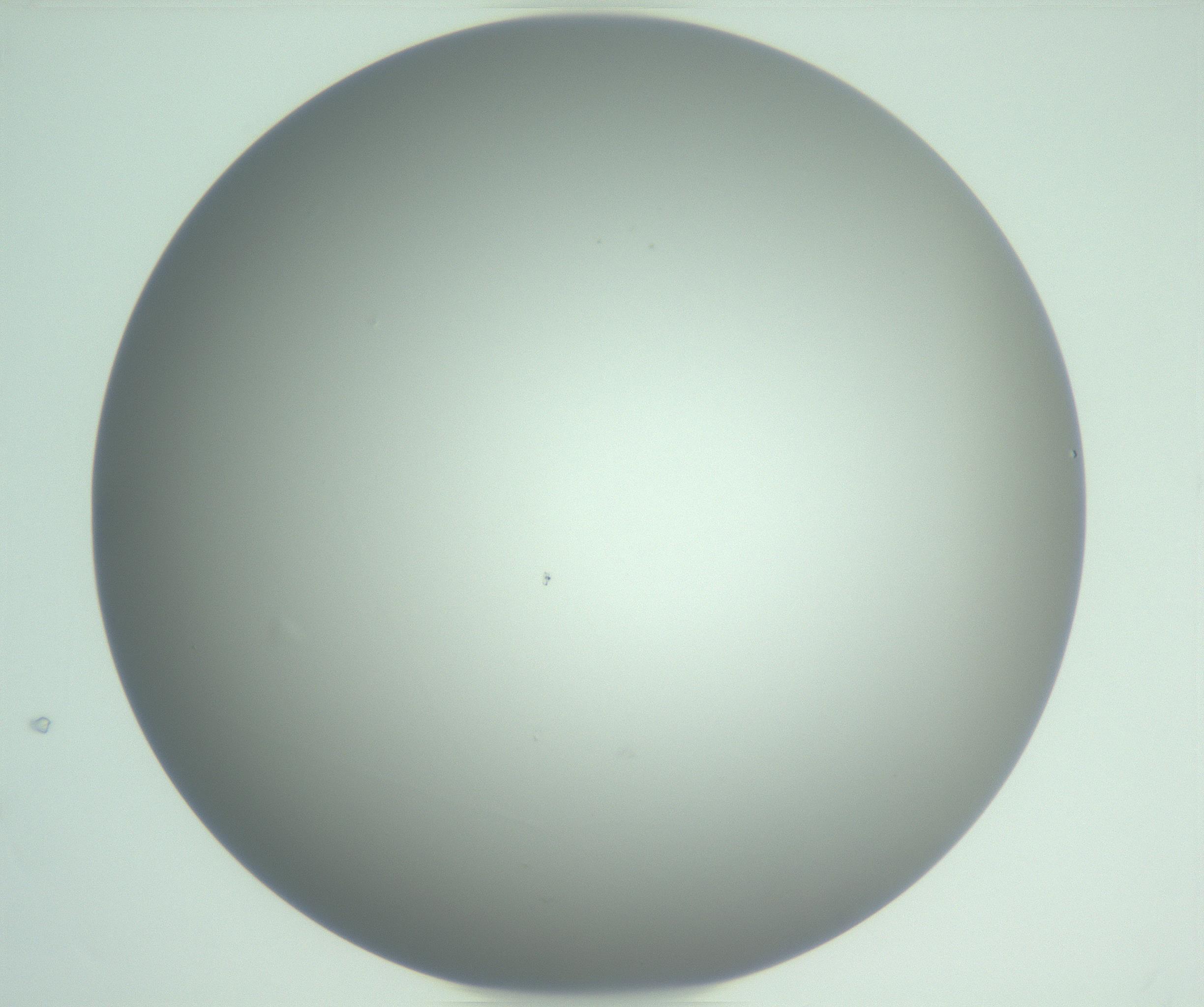 RI01_03_000_0212_Proj1_Clon1_MC_0000MC102976_007_161129_01_06_01_00_99_002_001_RAI.jpg