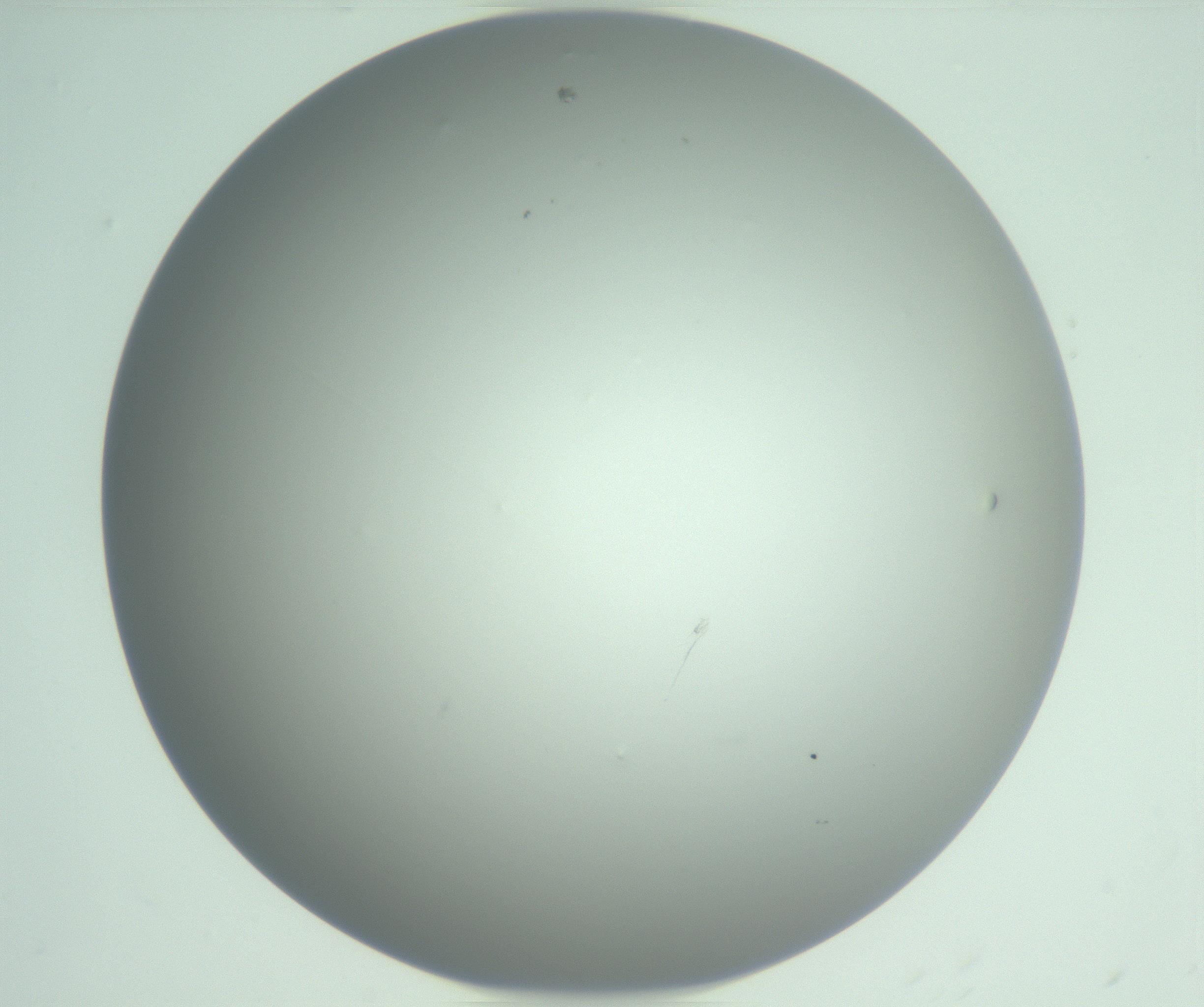 RI01_03_000_0212_Proj1_Clon1_MC_0000MC102976_007_161129_01_07_01_00_99_002_001_RAI.jpg