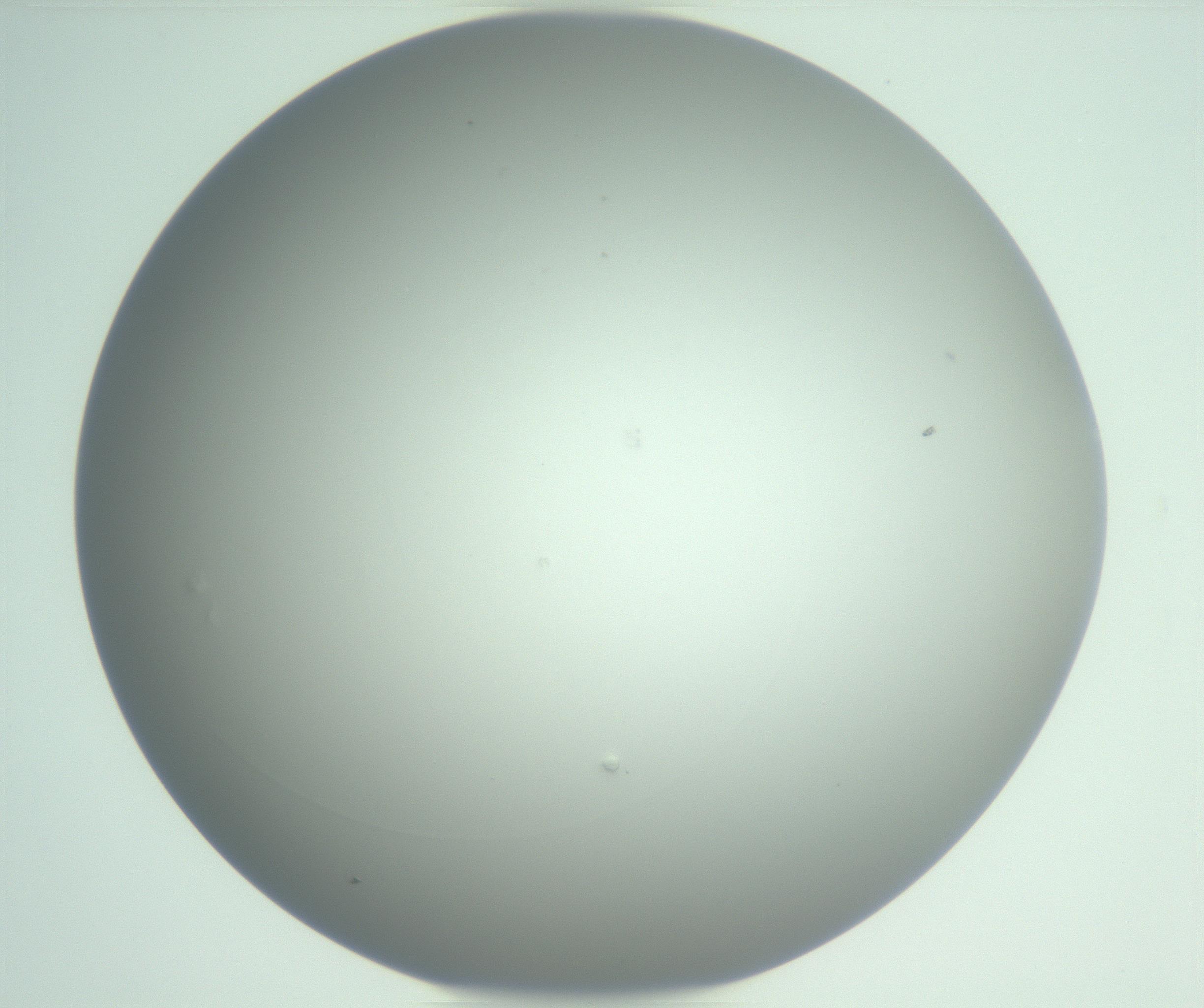 RI01_03_000_0212_Proj1_Clon1_MC_0000MC102976_007_161129_01_08_01_00_99_002_001_RAI.jpg