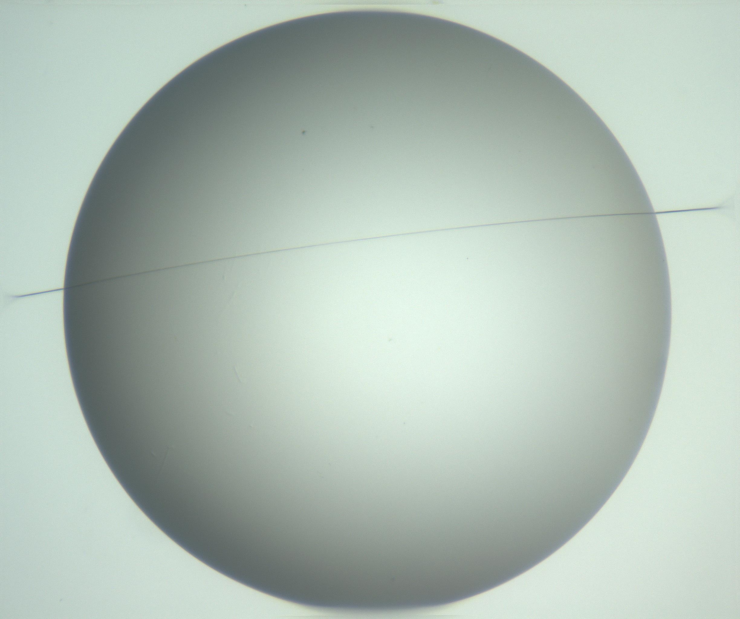 RI01_03_000_0212_Proj1_Clon1_MC_0000MC102976_007_161129_02_01_01_00_99_002_001_RAI.jpg