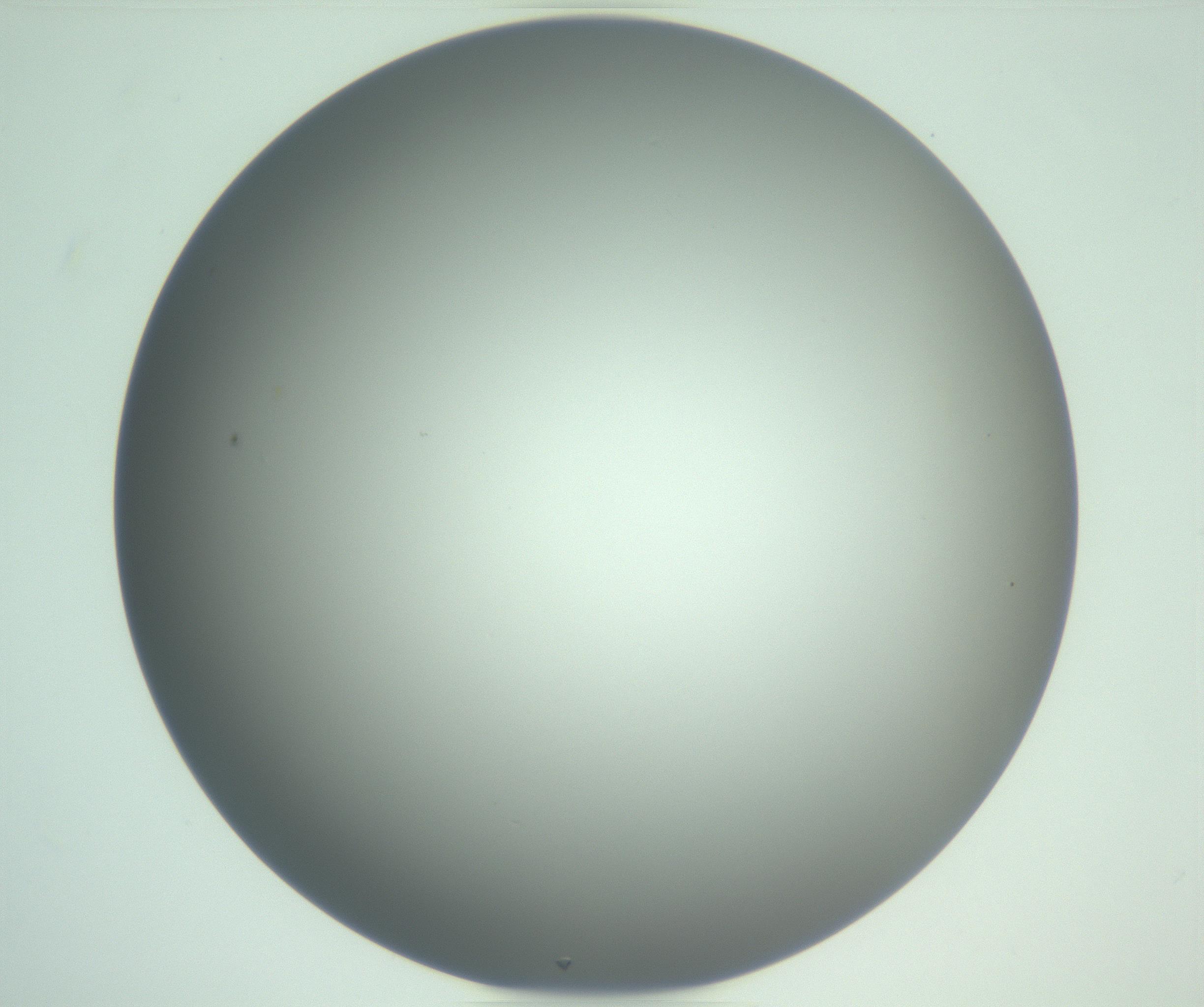 RI01_03_000_0212_Proj1_Clon1_MC_0000MC102976_007_161129_02_02_01_00_99_002_001_RAI.jpg