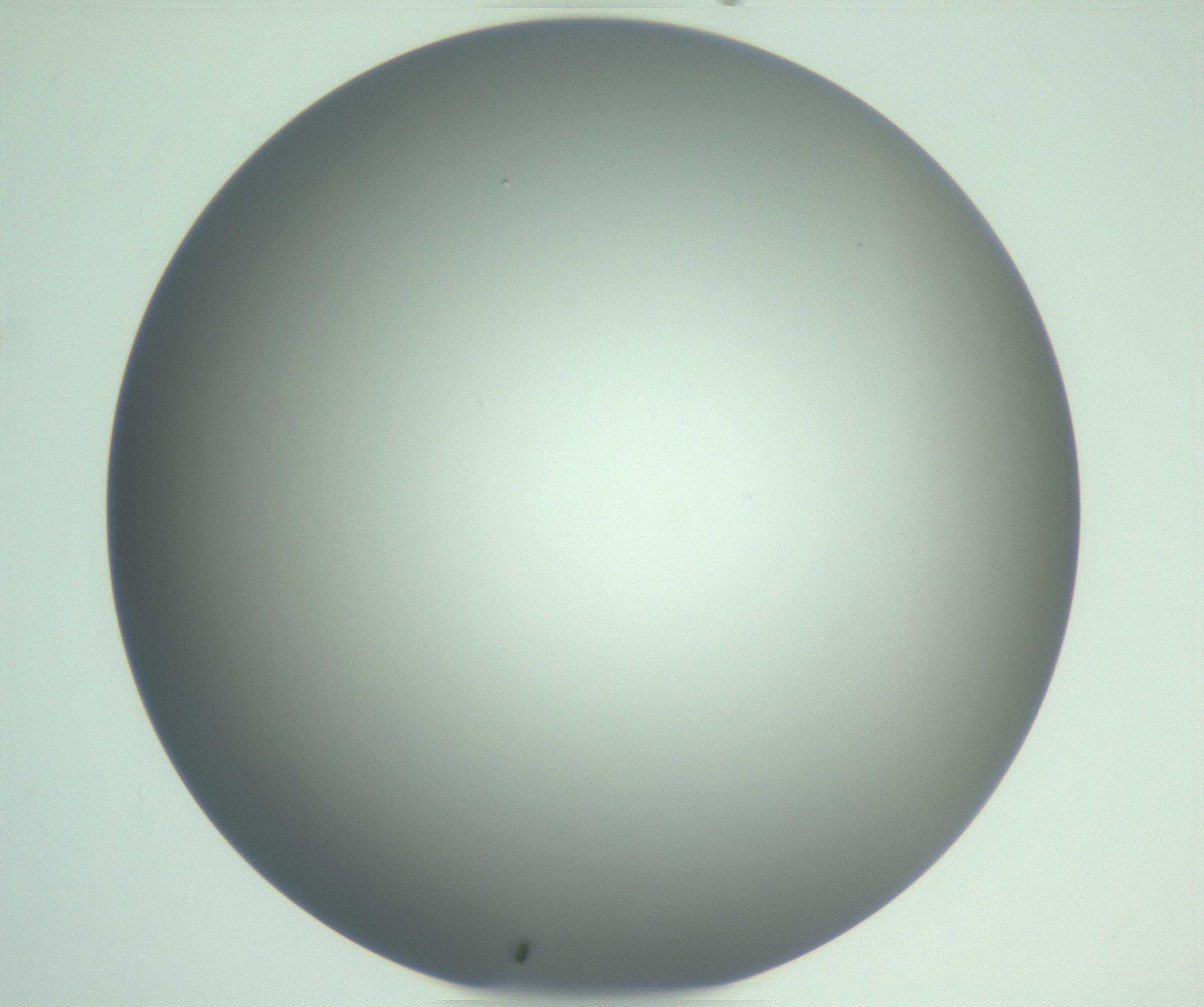 RI01_03_000_0212_Proj1_Clon1_MC_0000MC102976_007_161129_02_04_01_00_99_002_001_RAI.jpg