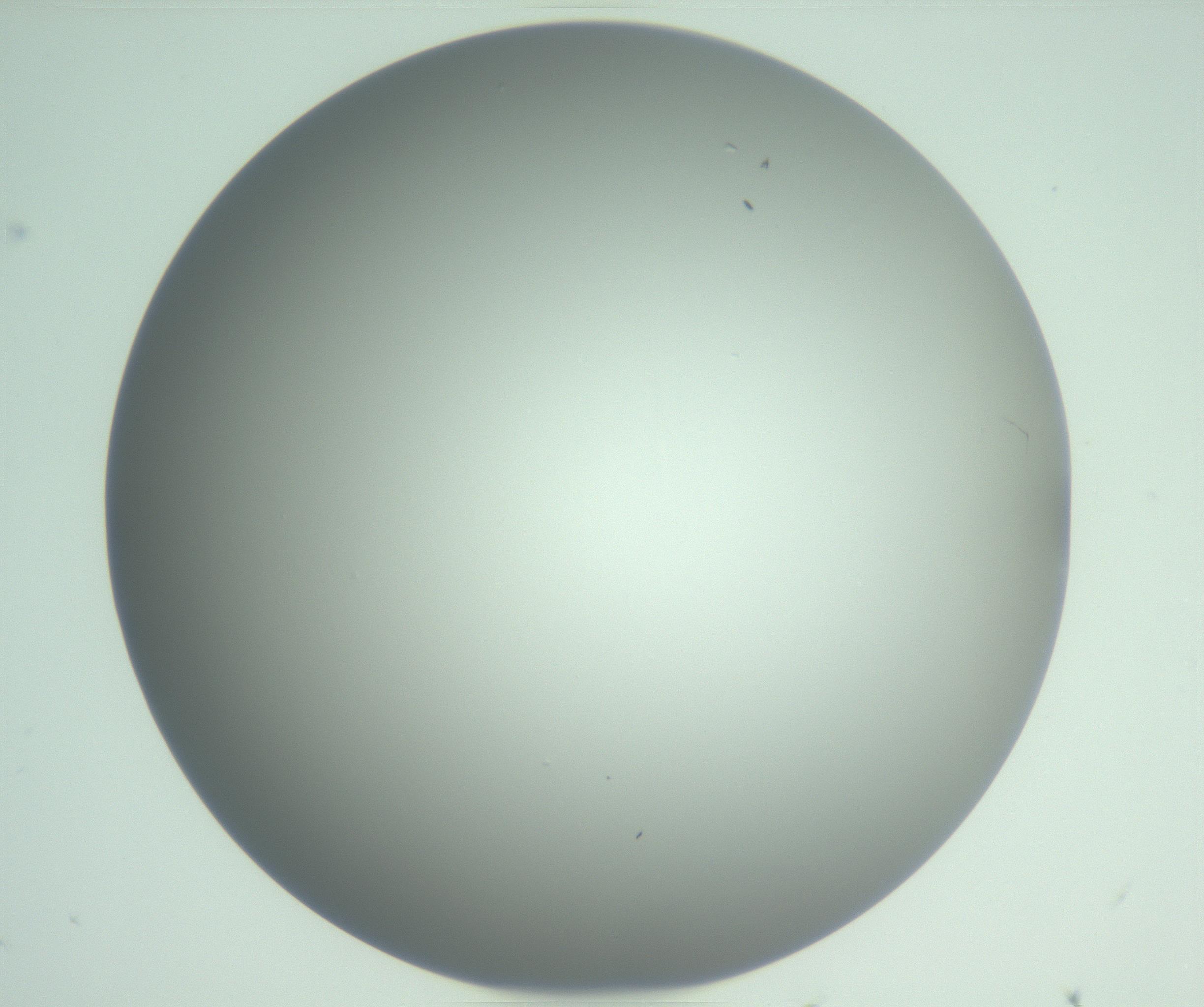 RI01_03_000_0212_Proj1_Clon1_MC_0000MC102976_007_161129_02_06_01_00_99_002_001_RAI.jpg