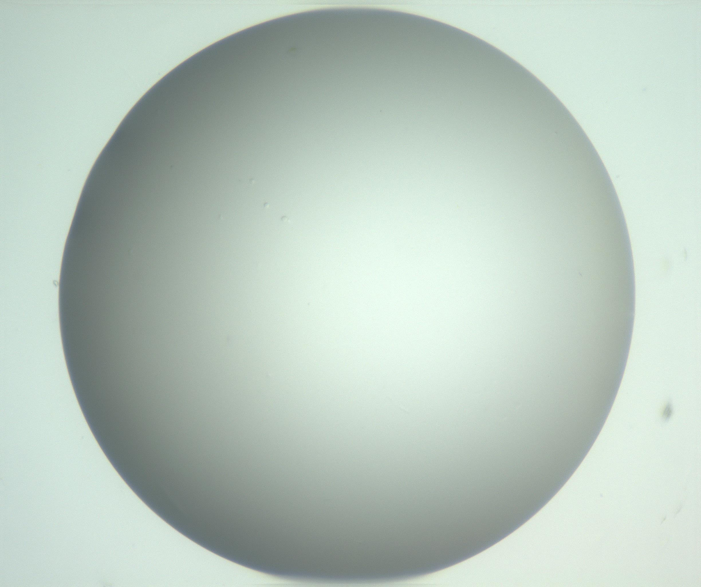 RI01_03_000_0212_Proj1_Clon1_MC_0000MC102976_007_161129_02_07_01_00_99_002_001_RAI.jpg
