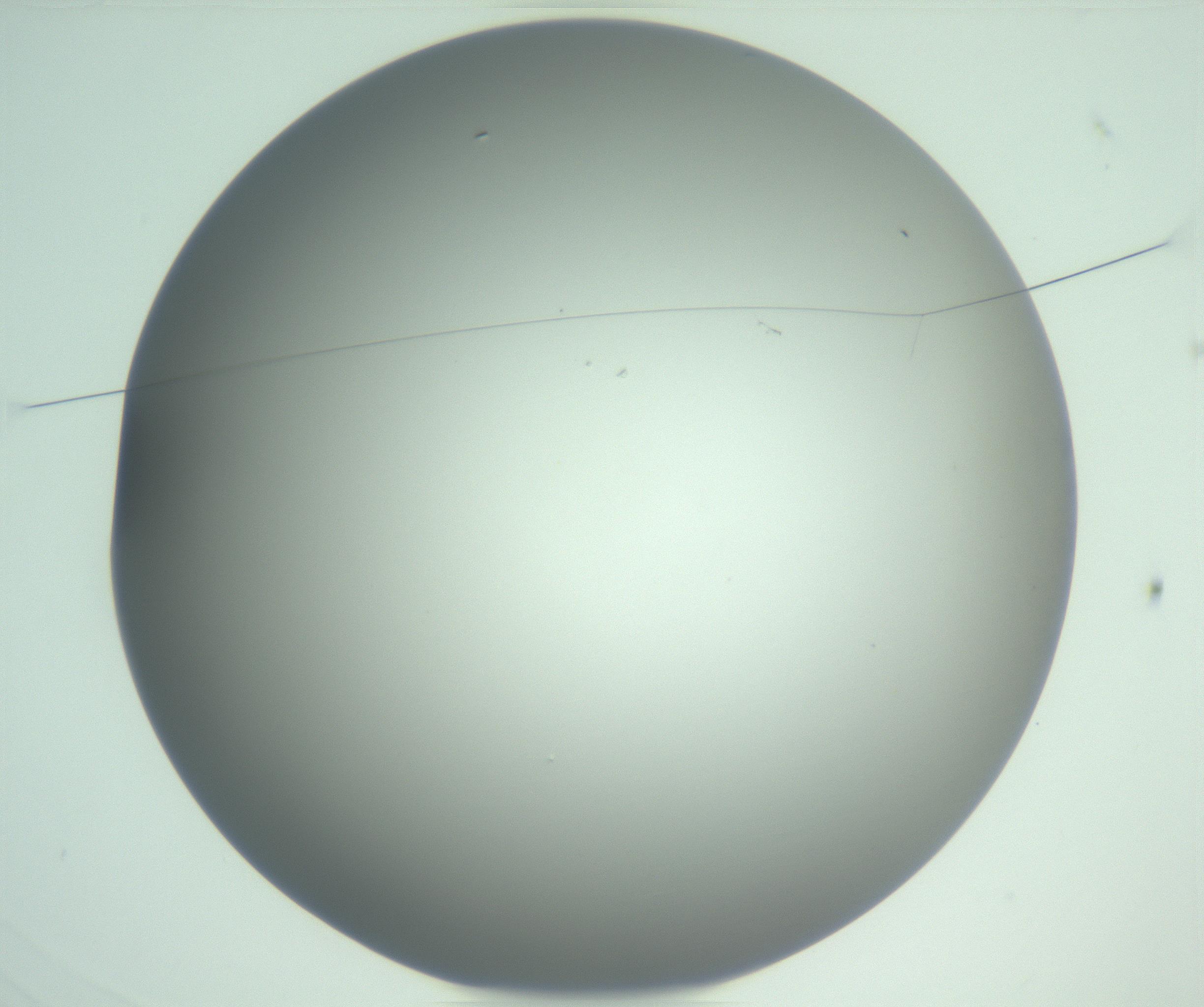 RI01_03_000_0212_Proj1_Clon1_MC_0000MC102976_007_161129_03_01_01_00_99_002_001_RAI.jpg