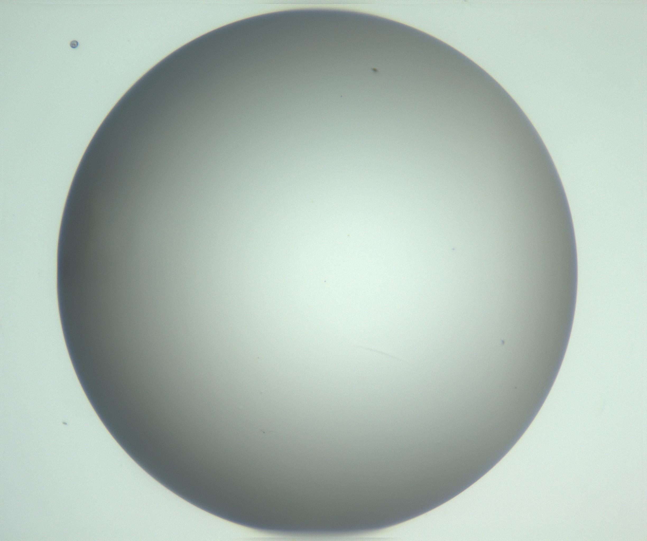 RI01_03_000_0212_Proj1_Clon1_MC_0000MC102976_007_161129_03_02_01_00_99_002_001_RAI.jpg