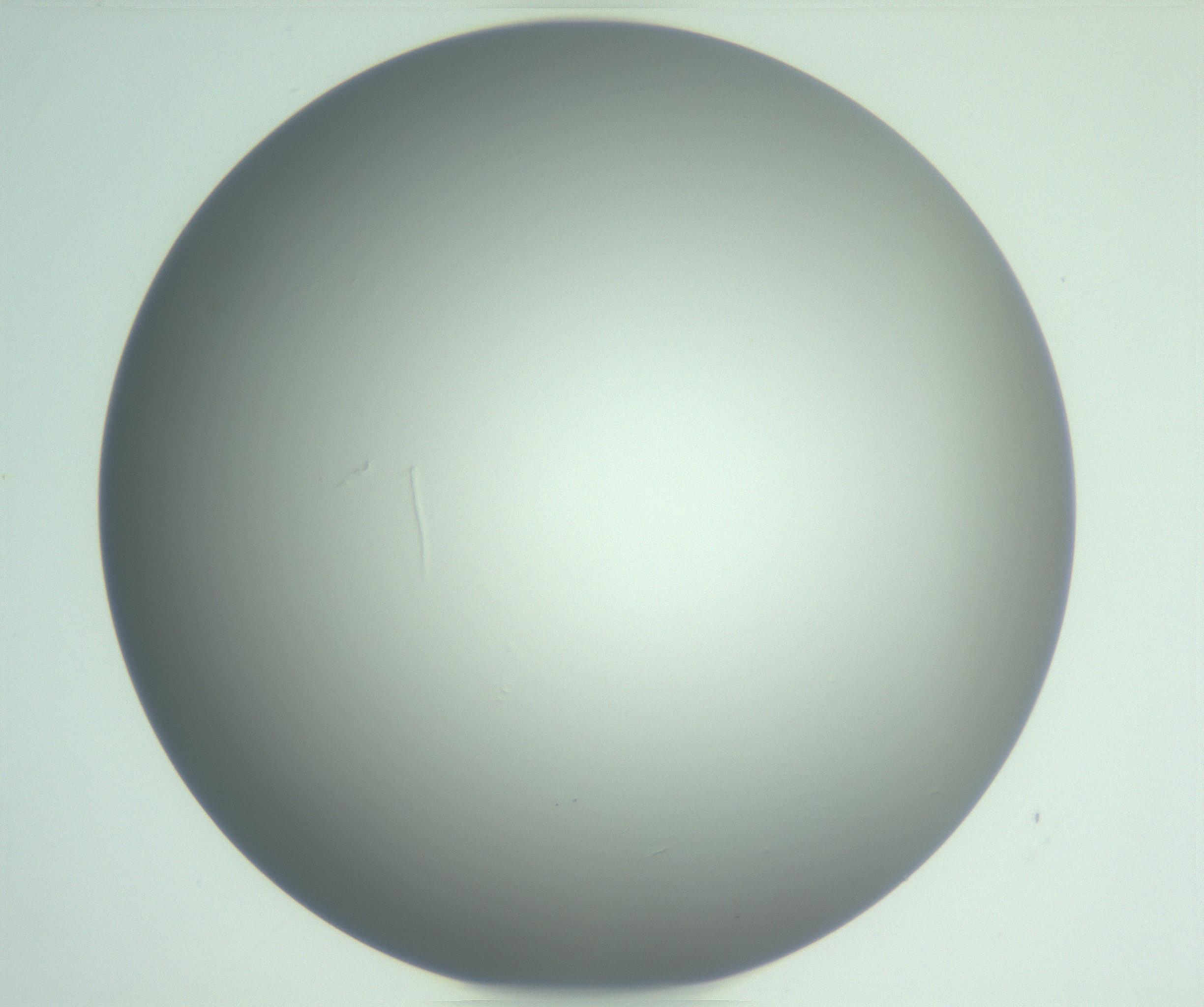 RI01_03_000_0212_Proj1_Clon1_MC_0000MC102976_007_161129_03_04_01_00_99_002_001_RAI.jpg
