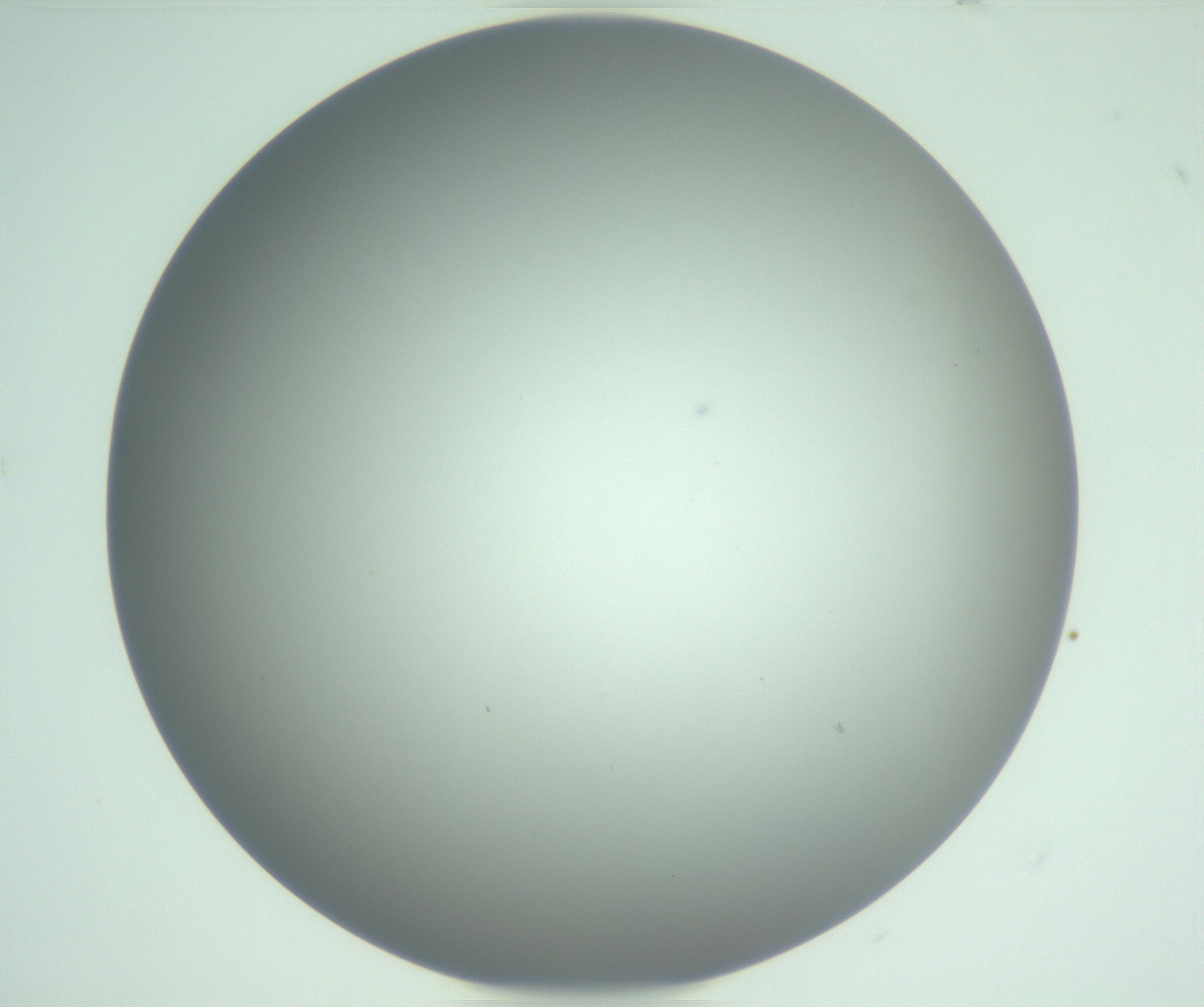 RI01_03_000_0212_Proj1_Clon1_MC_0000MC102976_007_161129_03_05_01_00_99_002_001_RAI.jpg