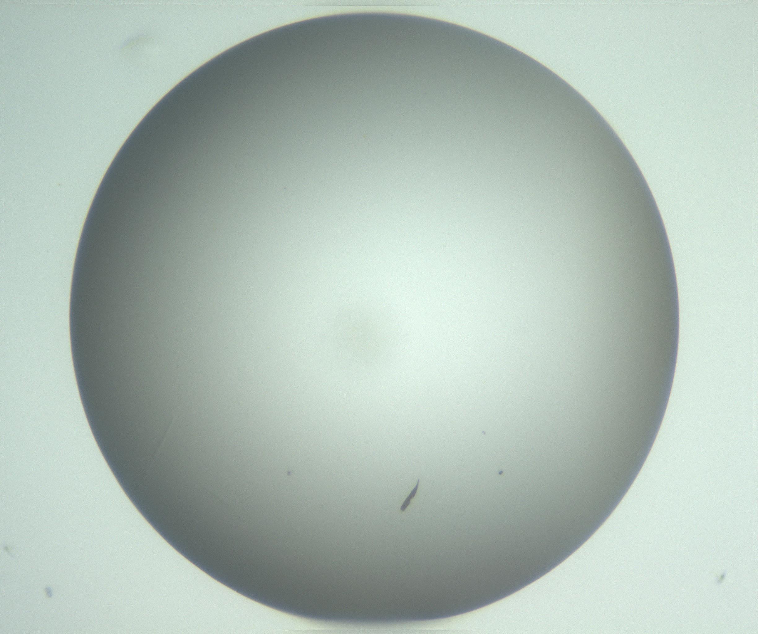 RI01_03_000_0212_Proj1_Clon1_MC_0000MC102976_007_161129_03_06_01_00_99_002_001_RAI.jpg