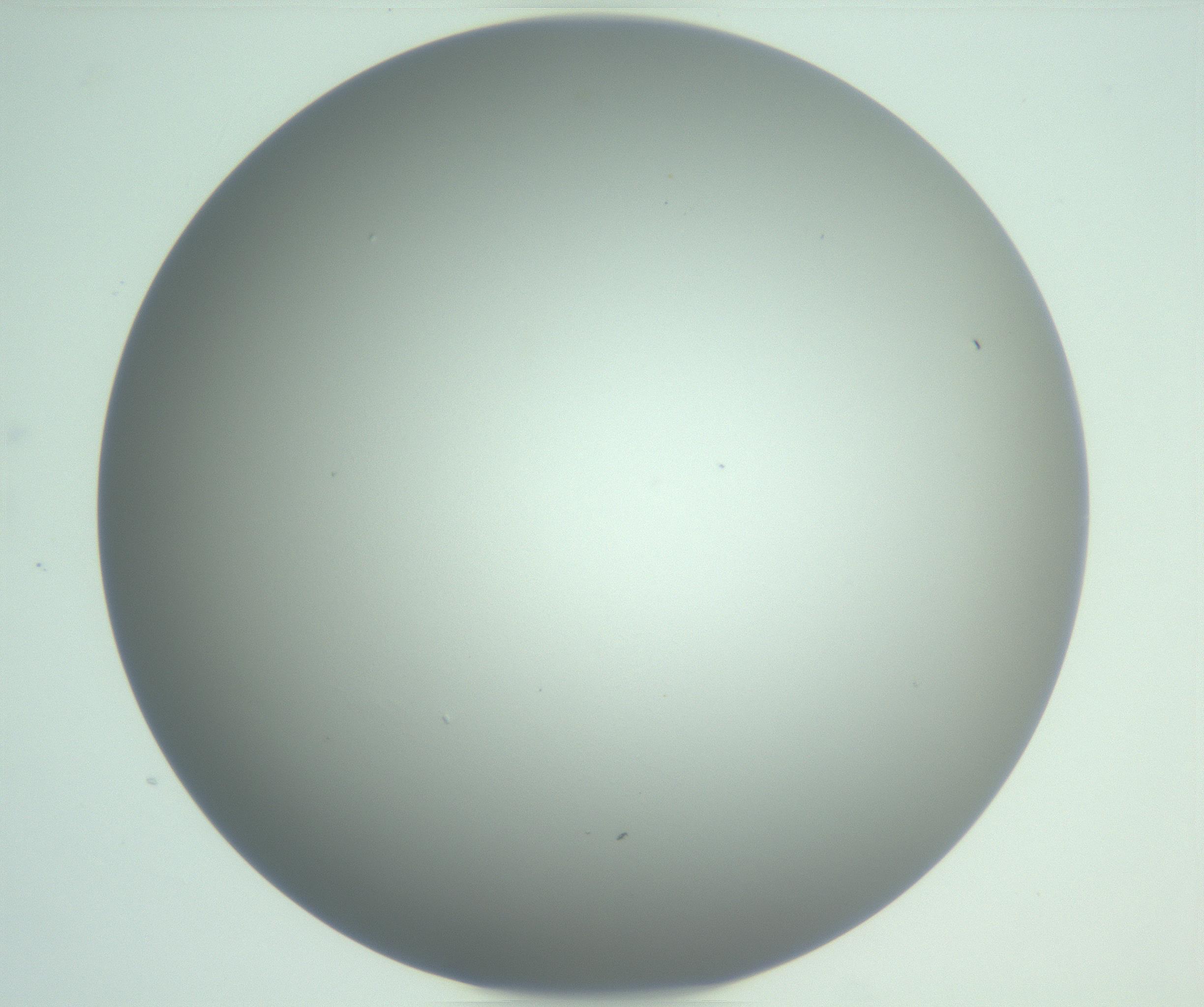 RI01_03_000_0212_Proj1_Clon1_MC_0000MC102976_007_161129_03_07_01_00_99_002_001_RAI.jpg