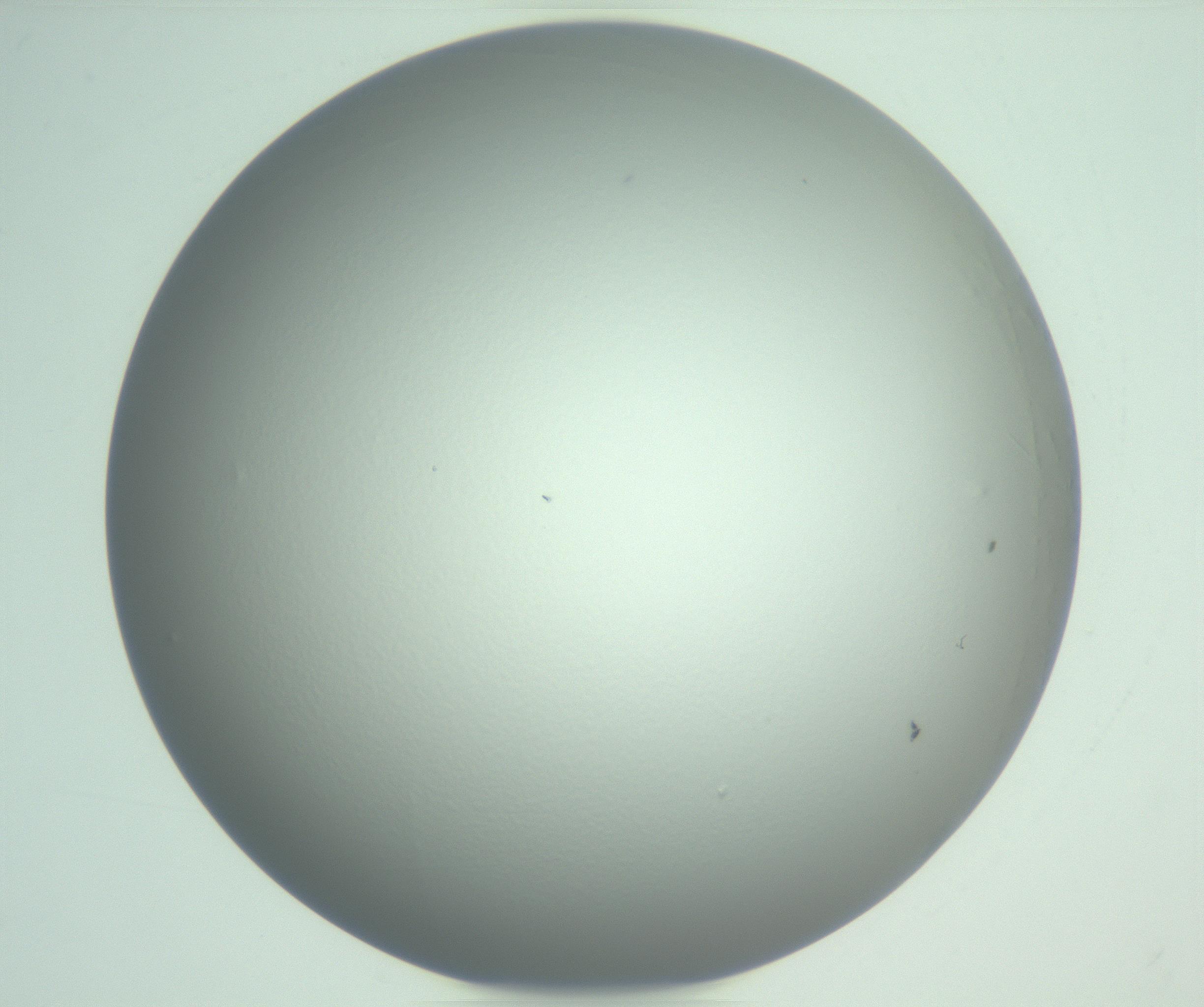 RI01_03_000_0212_Proj1_Clon1_MC_0000MC102976_007_161129_03_08_01_00_99_002_001_RAI.jpg