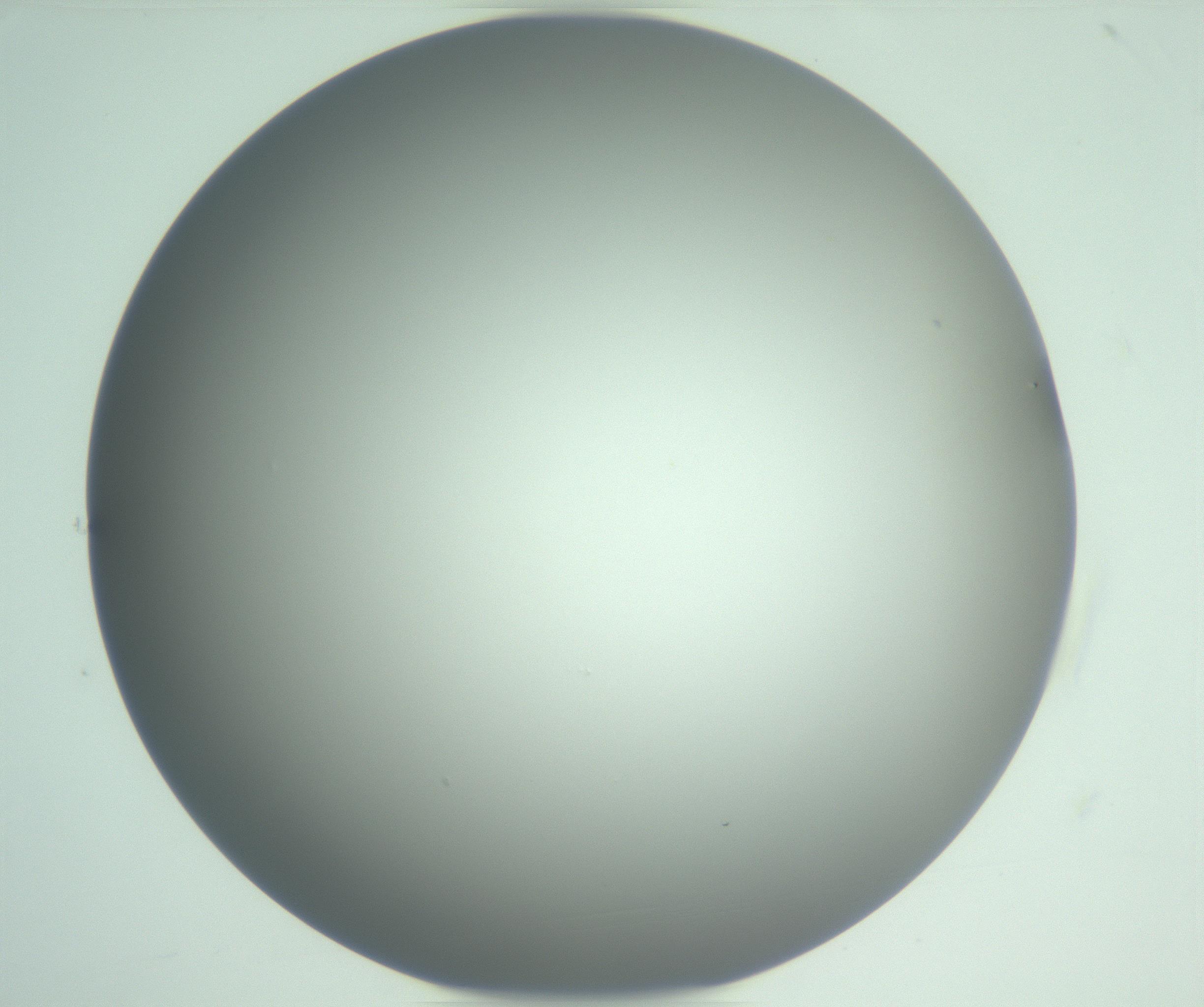 RI01_03_000_0212_Proj1_Clon1_MC_0000MC102976_007_161129_04_01_01_00_99_002_001_RAI.jpg