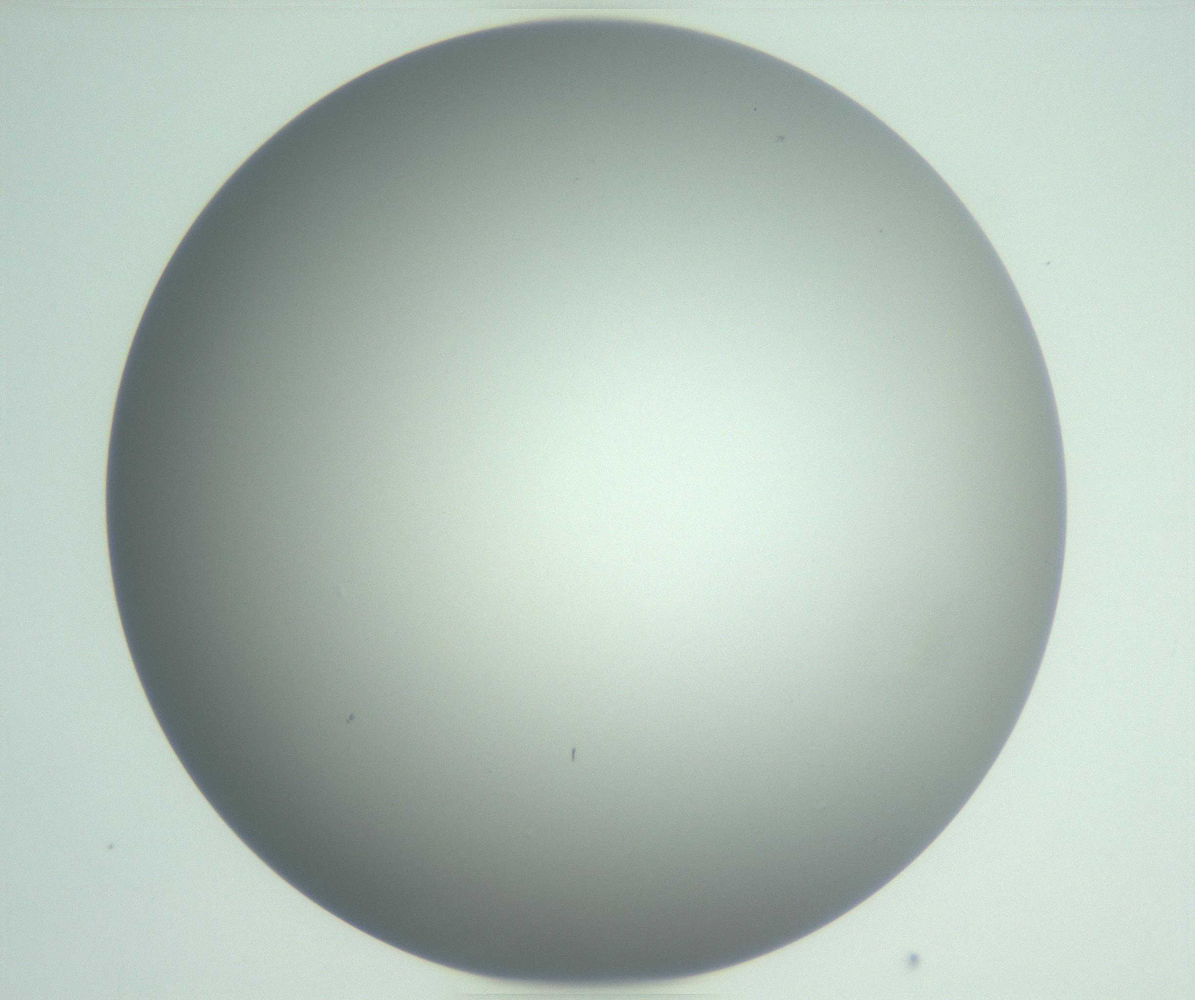 RI01_03_000_0212_Proj1_Clon1_MC_0000MC102976_007_161129_04_06_01_00_99_002_001_RAI.jpg