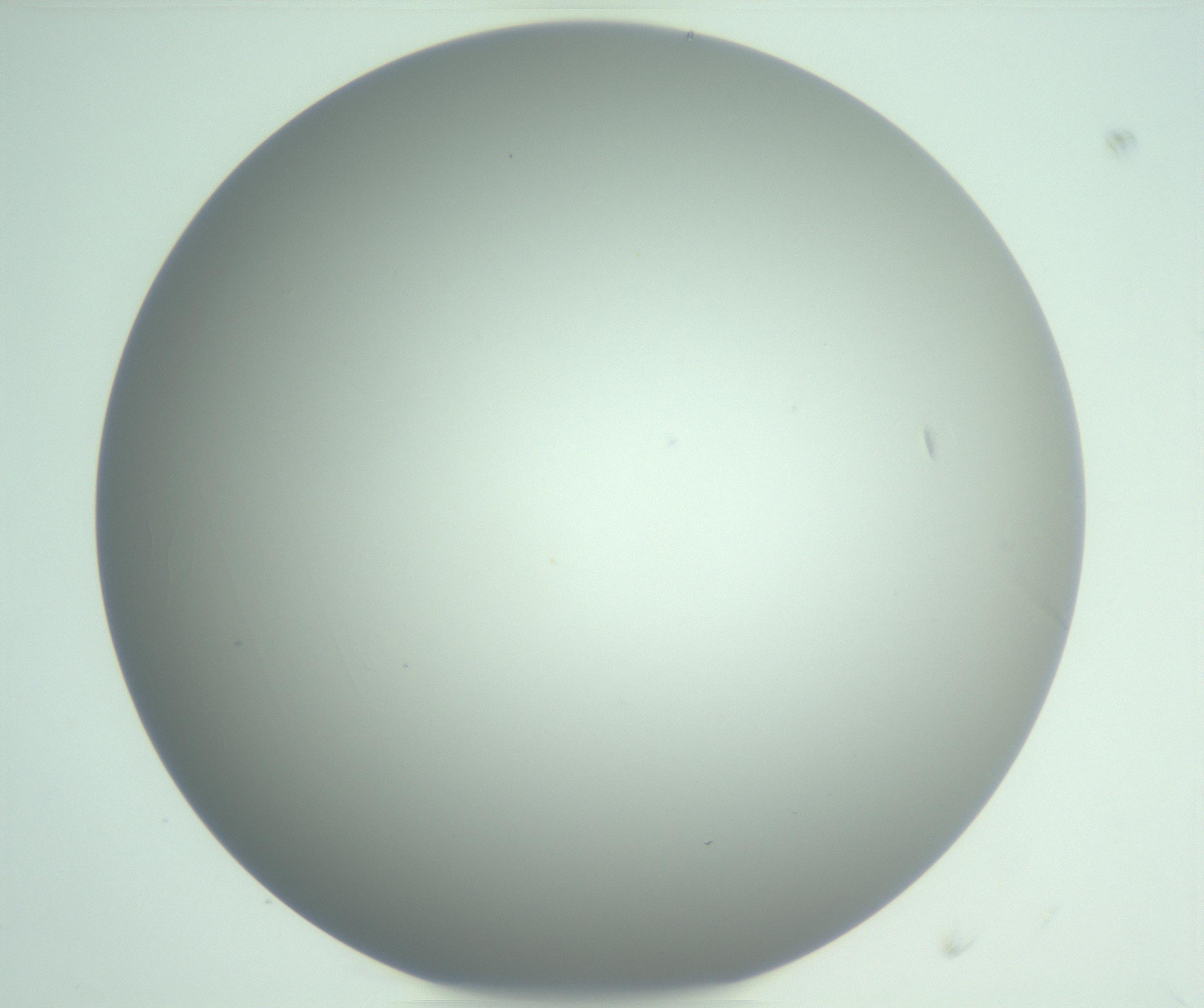 RI01_03_000_0212_Proj1_Clon1_MC_0000MC102976_007_161129_04_07_01_00_99_002_001_RAI.jpg