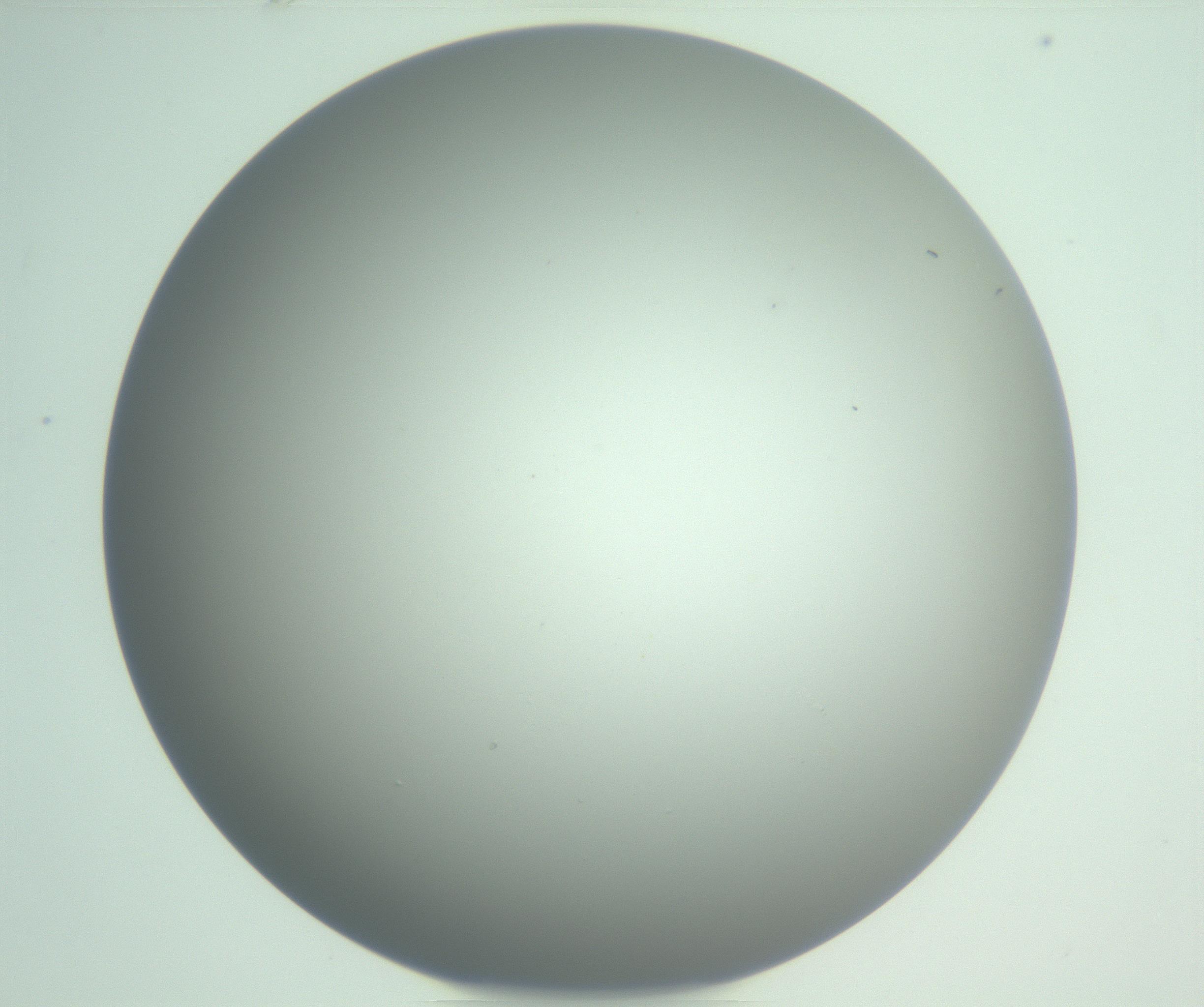 RI01_03_000_0212_Proj1_Clon1_MC_0000MC102976_007_161129_04_08_01_00_99_002_001_RAI.jpg