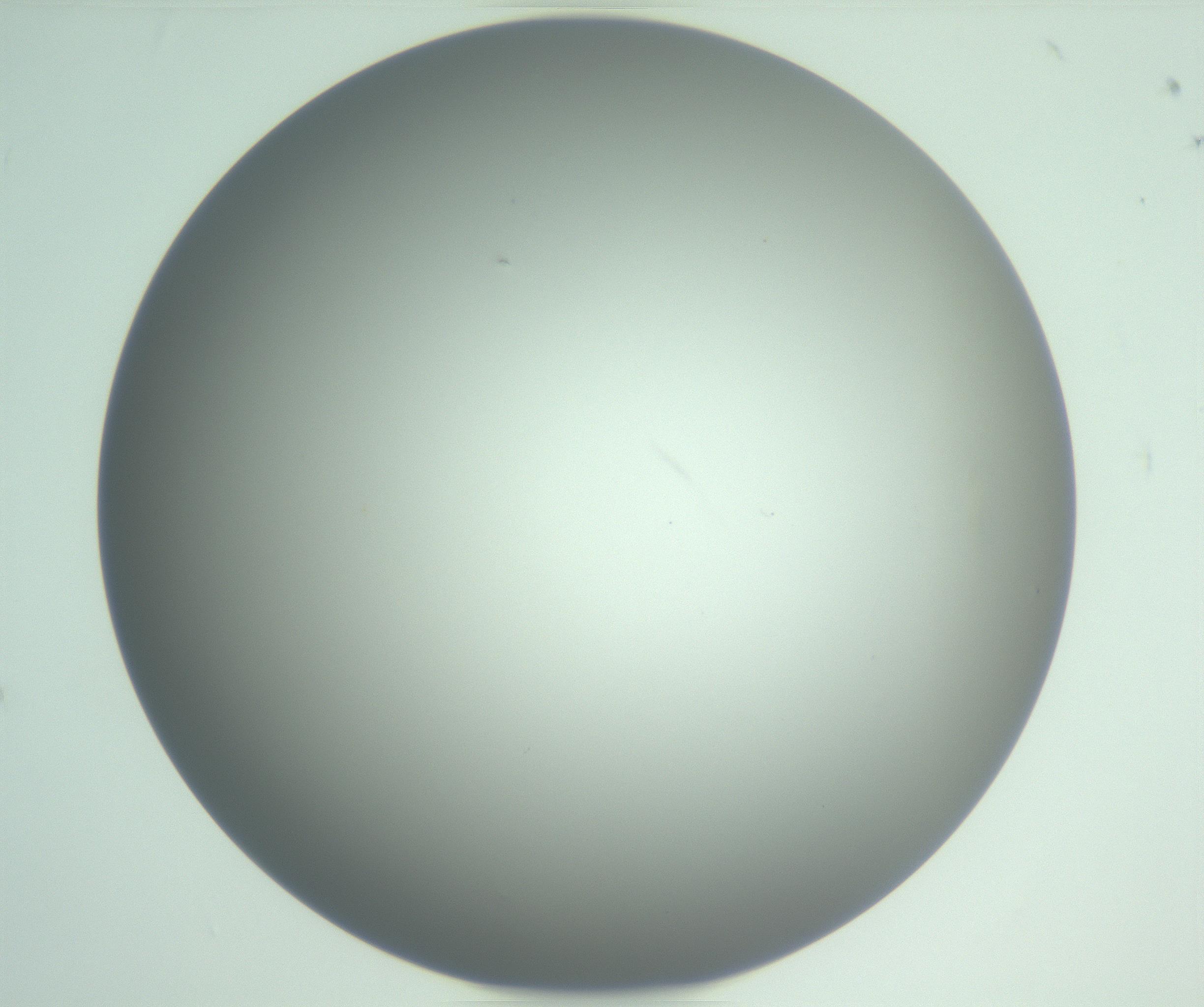 RI01_03_000_0212_Proj1_Clon1_MC_0000MC102976_007_161129_05_01_01_00_99_002_001_RAI.jpg