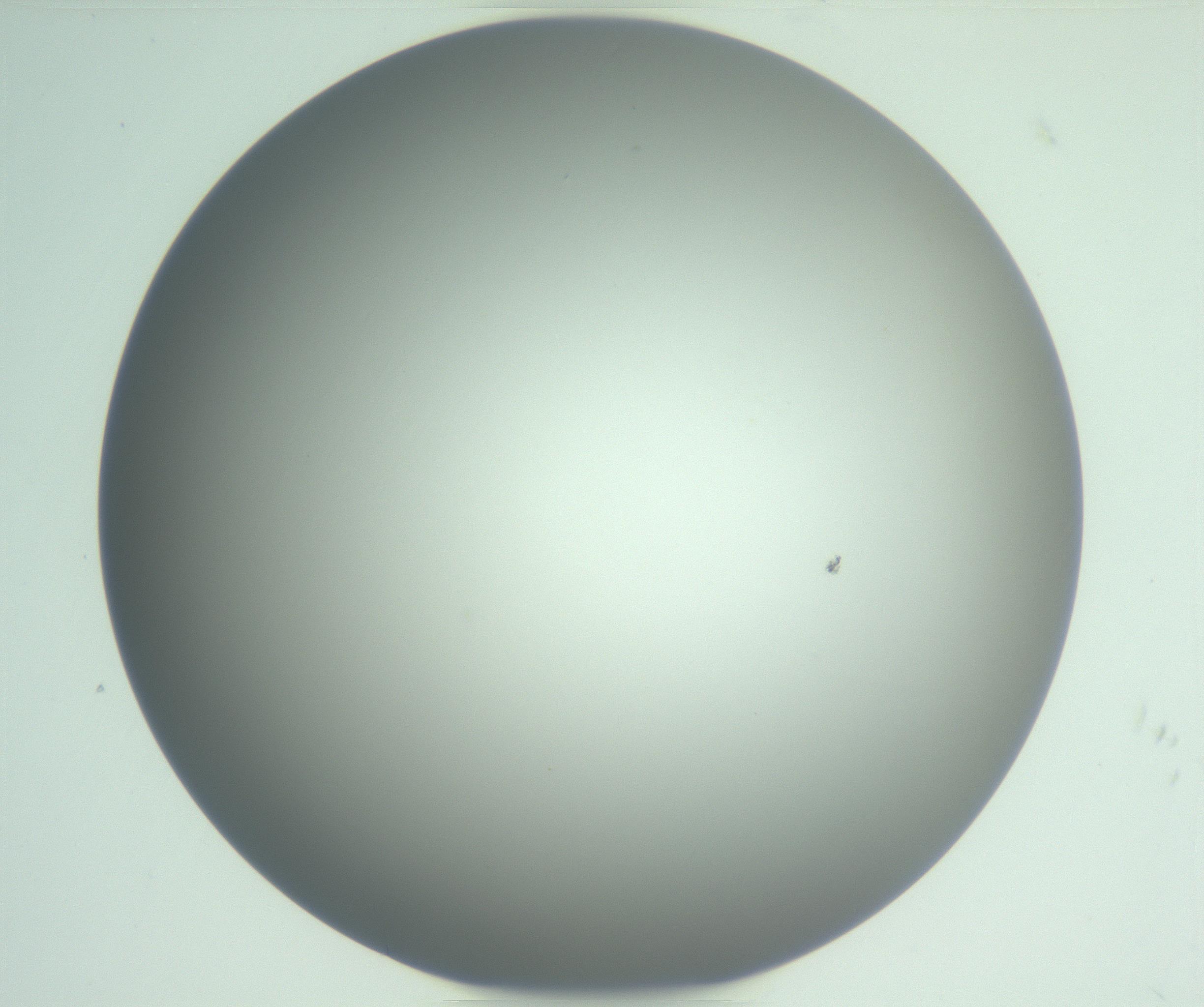 RI01_03_000_0212_Proj1_Clon1_MC_0000MC102976_007_161129_05_03_01_00_99_002_001_RAI.jpg