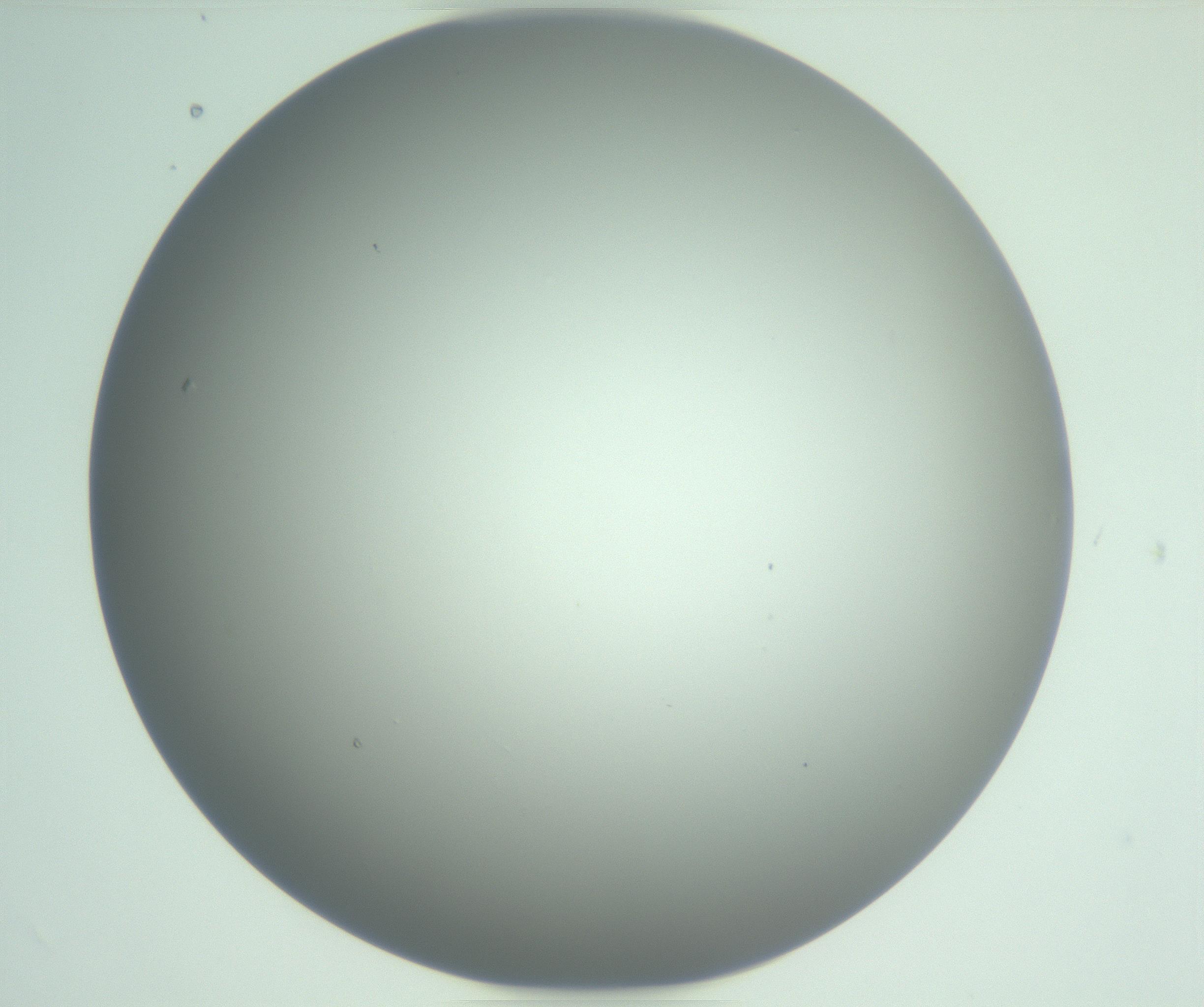 RI01_03_000_0212_Proj1_Clon1_MC_0000MC102976_007_161129_05_04_01_00_99_002_001_RAI.jpg