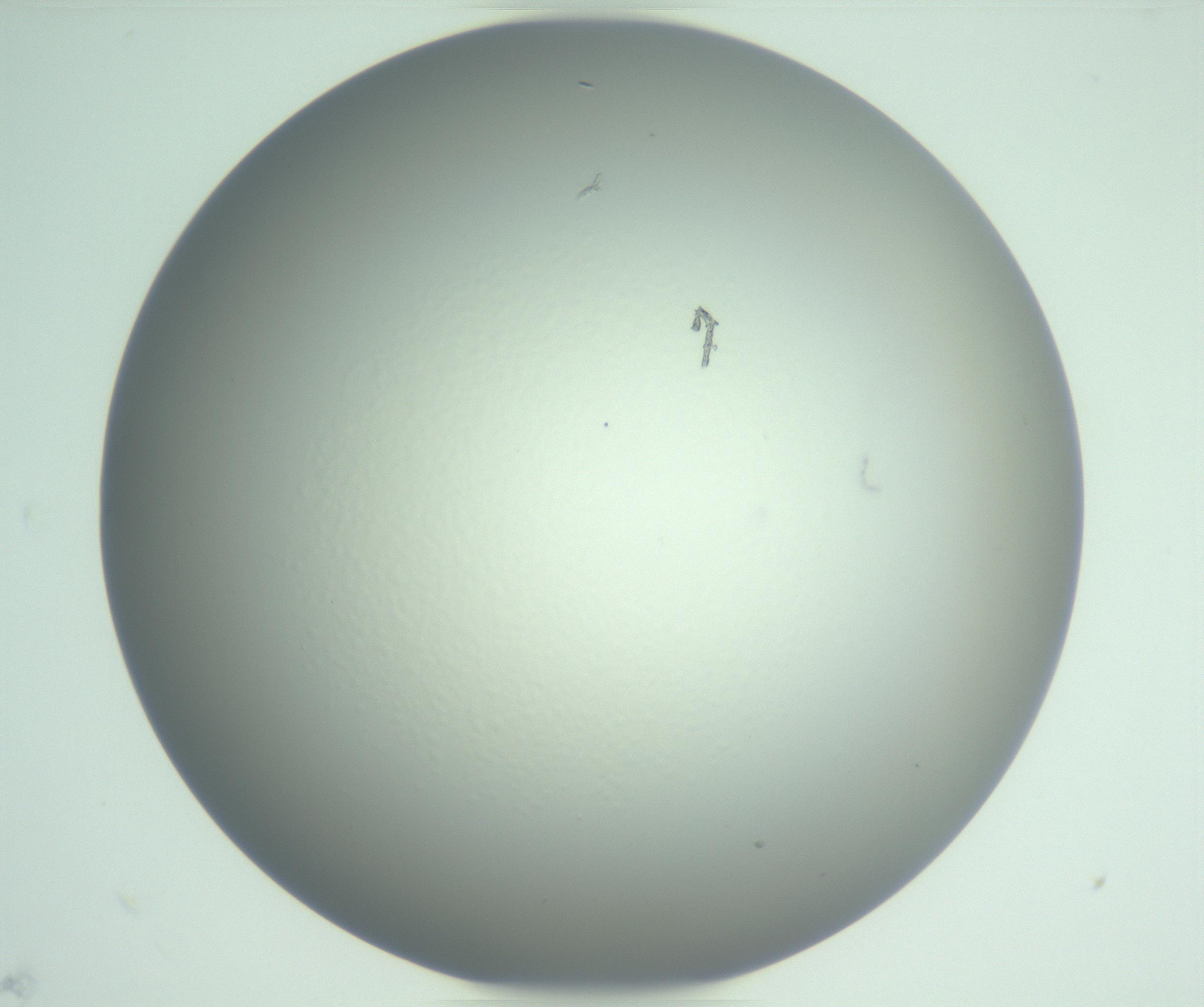 RI01_03_000_0212_Proj1_Clon1_MC_0000MC102976_007_161129_05_05_01_00_99_002_001_RAI.jpg
