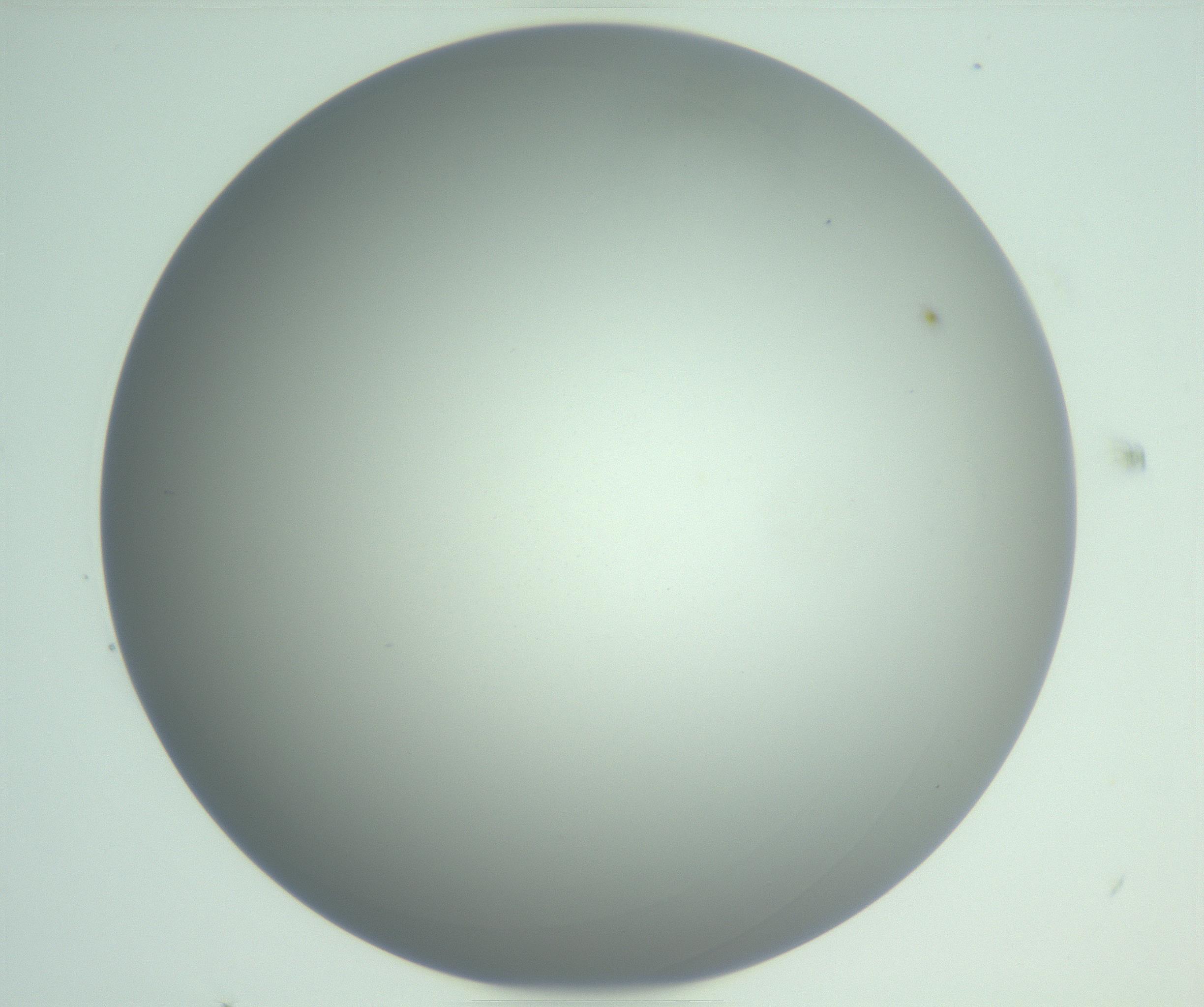 RI01_03_000_0212_Proj1_Clon1_MC_0000MC102976_007_161129_05_06_01_00_99_002_001_RAI.jpg