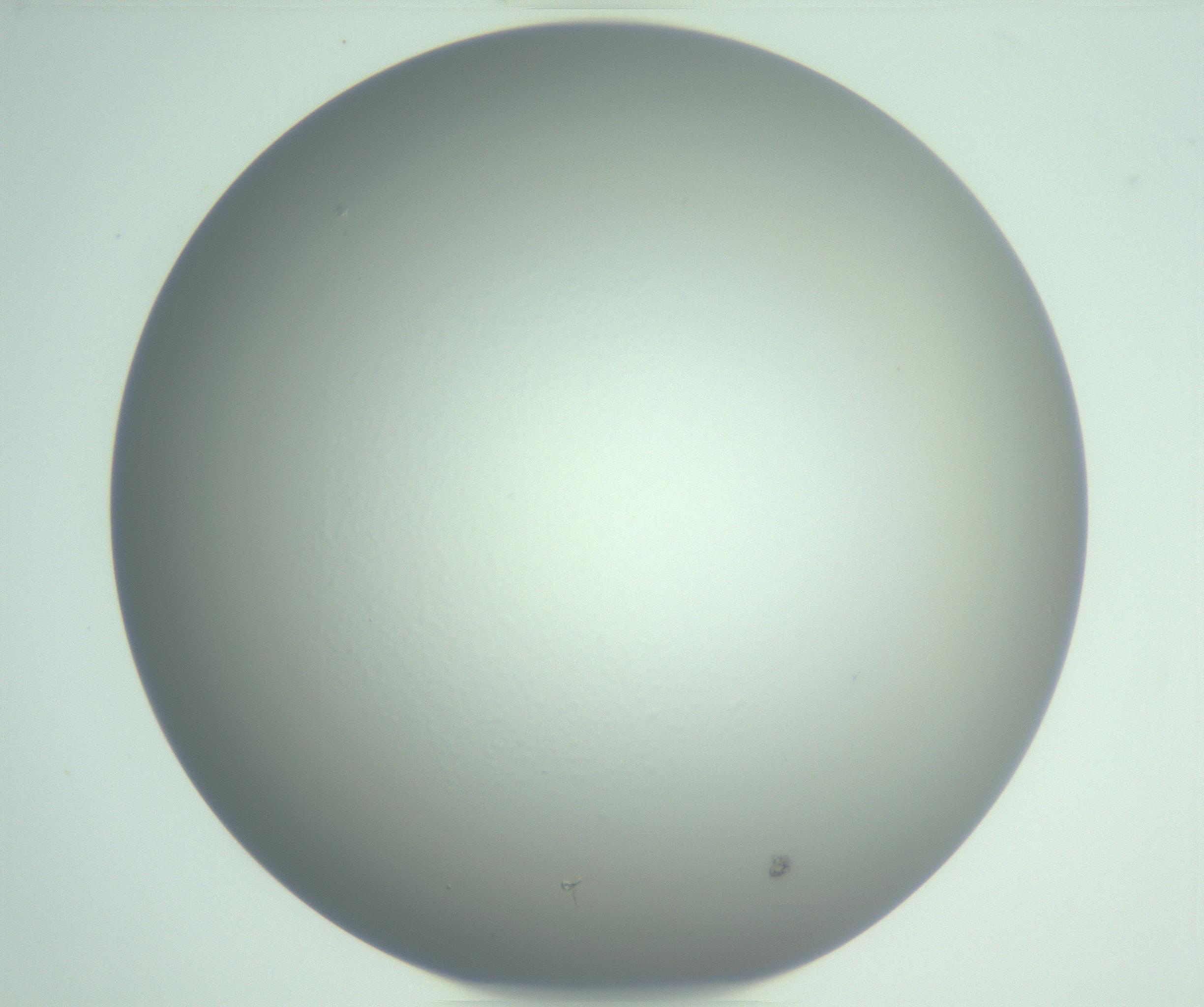 RI01_03_000_0212_Proj1_Clon1_MC_0000MC102976_007_161129_05_07_01_00_99_002_001_RAI.jpg